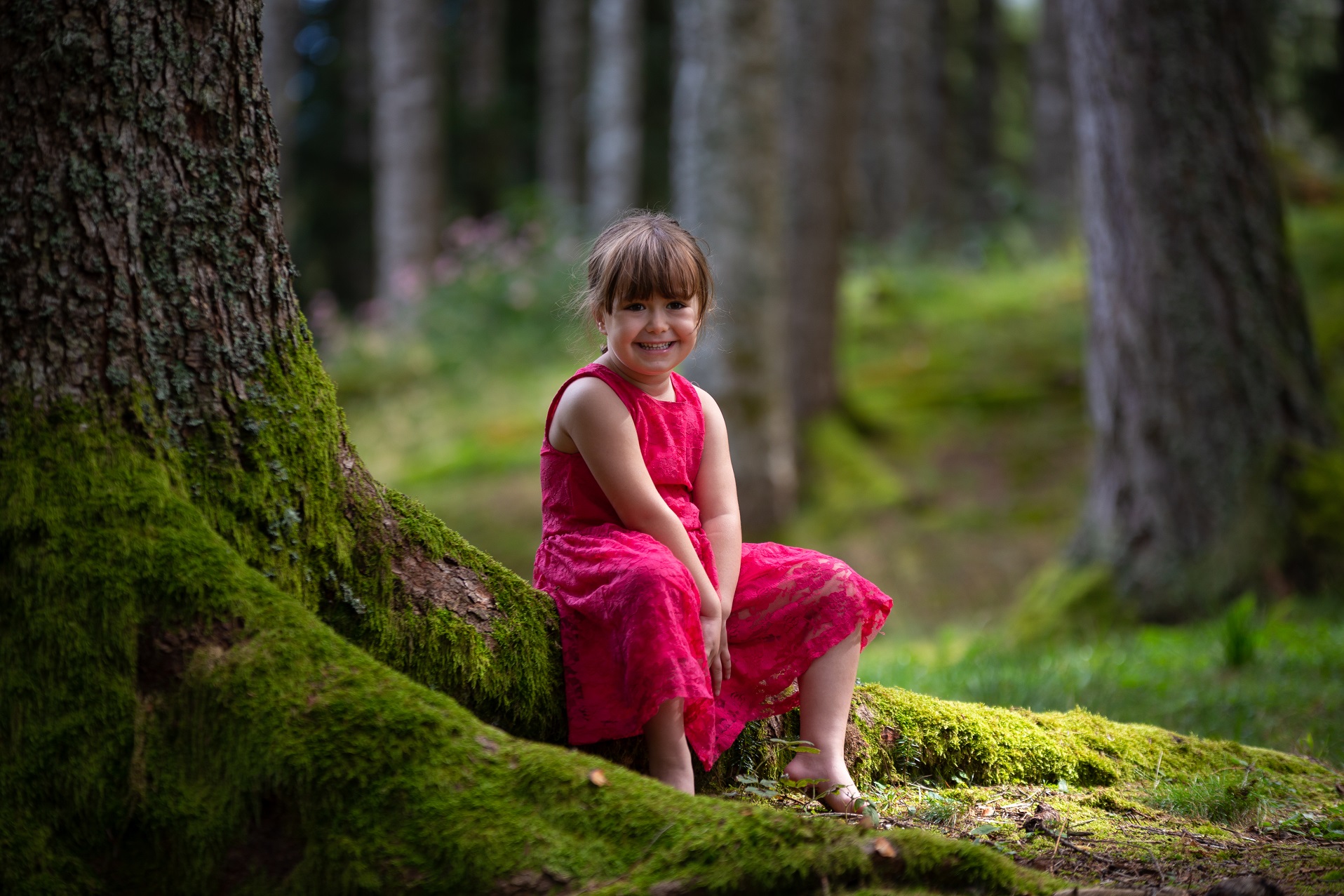 A Summer in Cadore 1