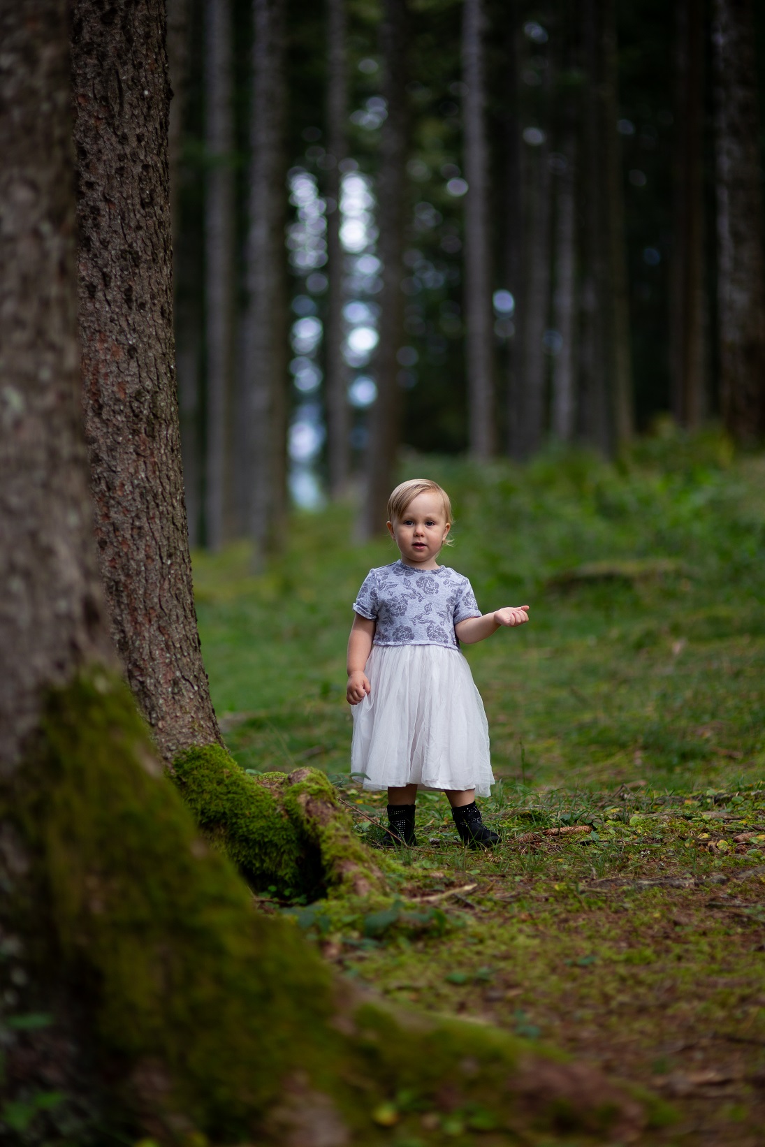 A Summer in Cadore 2