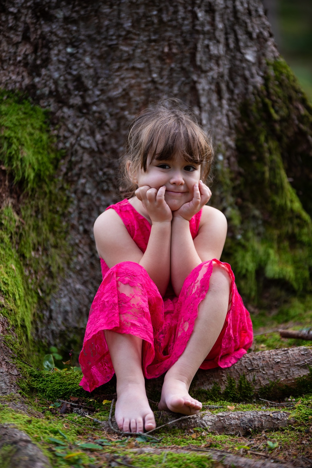 A Summer in Cadore 3