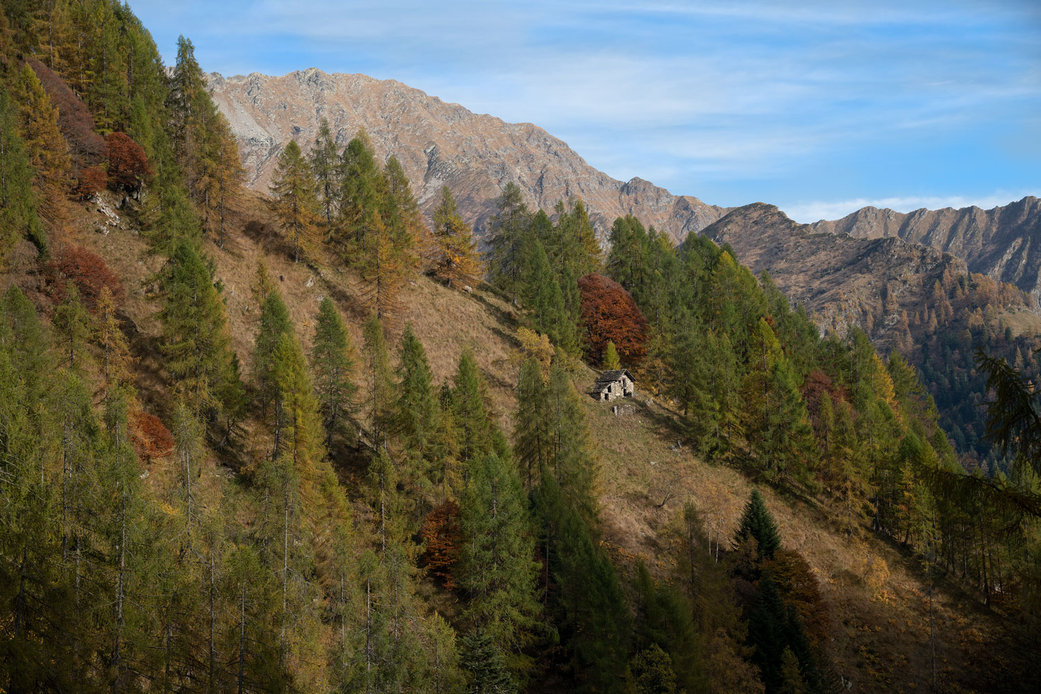 Rimasco- Raspberry Valley