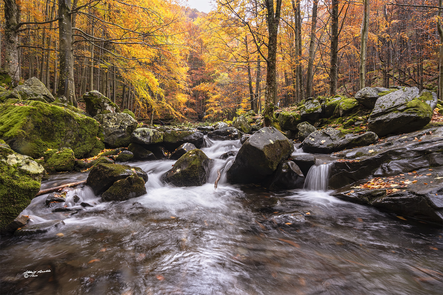 The creek and its autumn colours