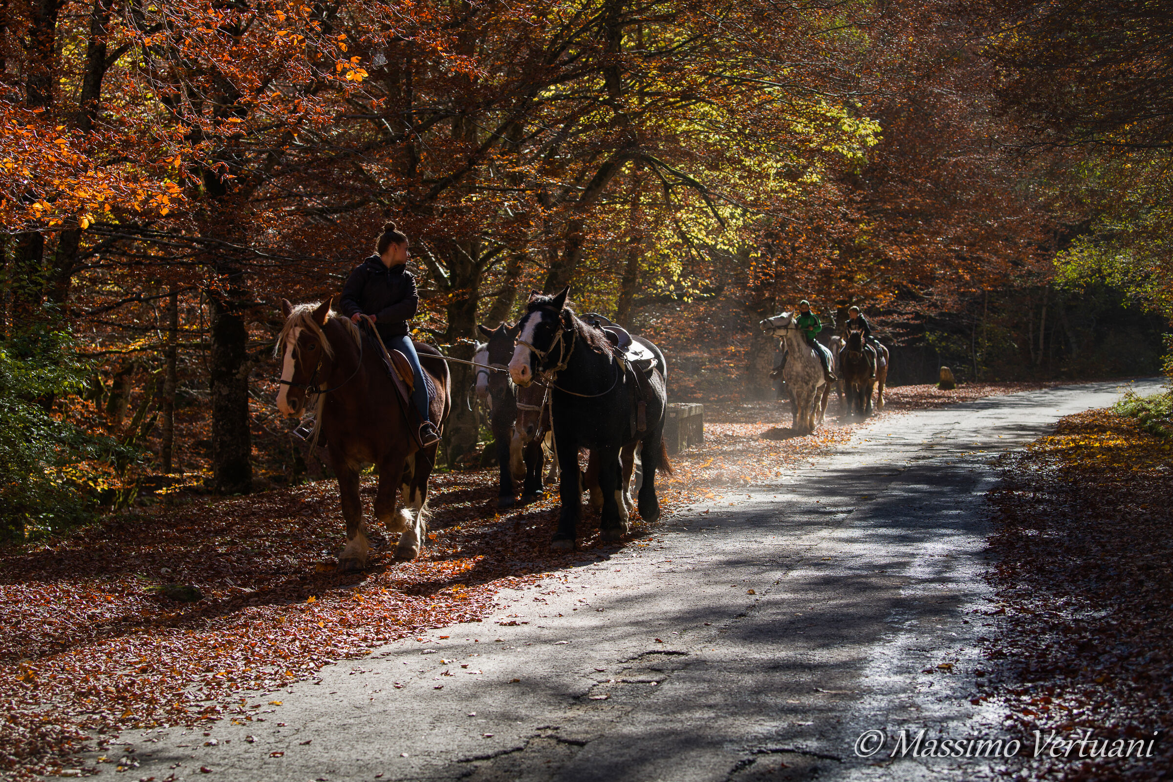 Passeggiata alla camosciara ( Abruzzo )