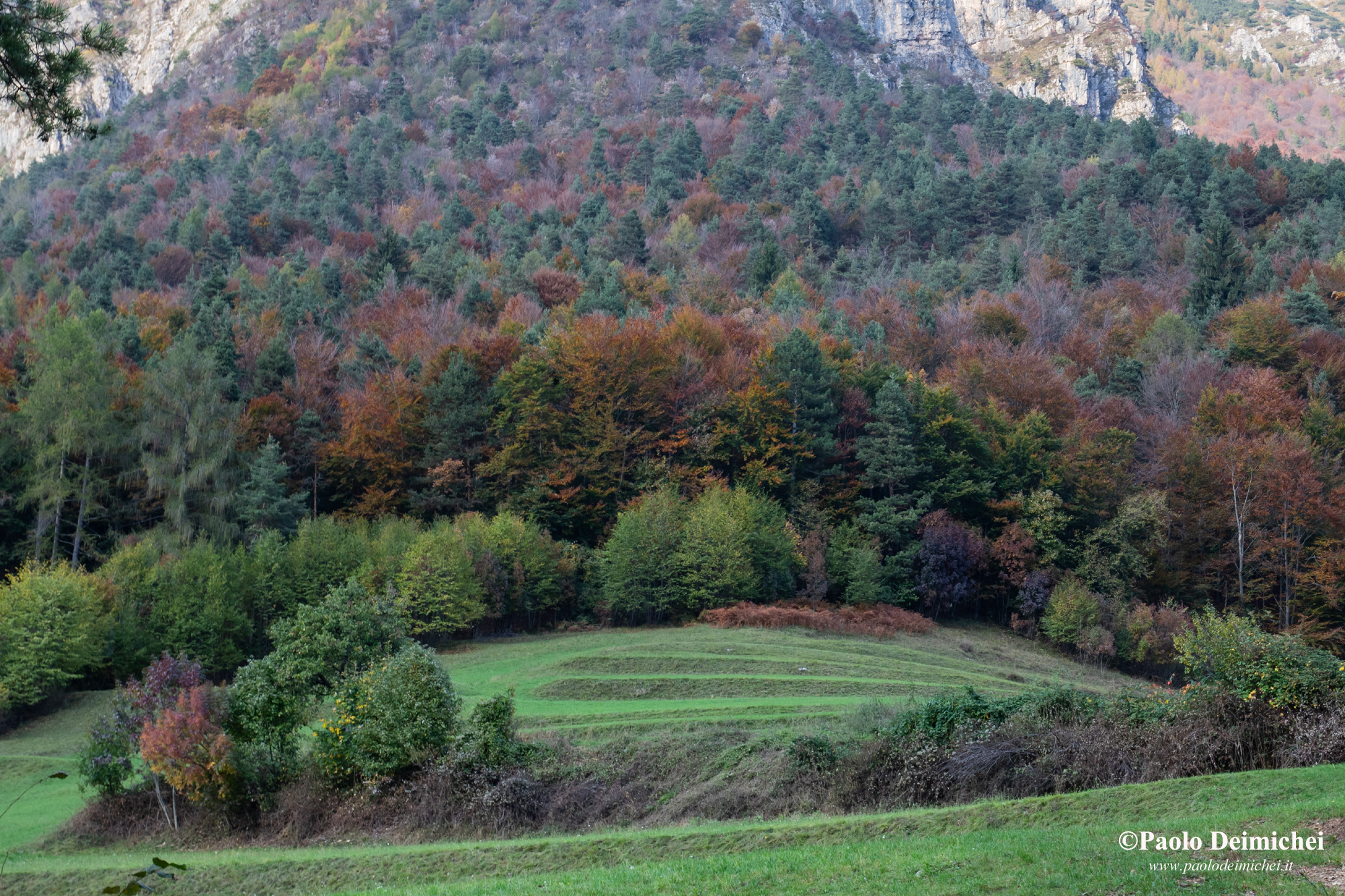 Sinfonia di colori autunnali in Val di Ronchi
