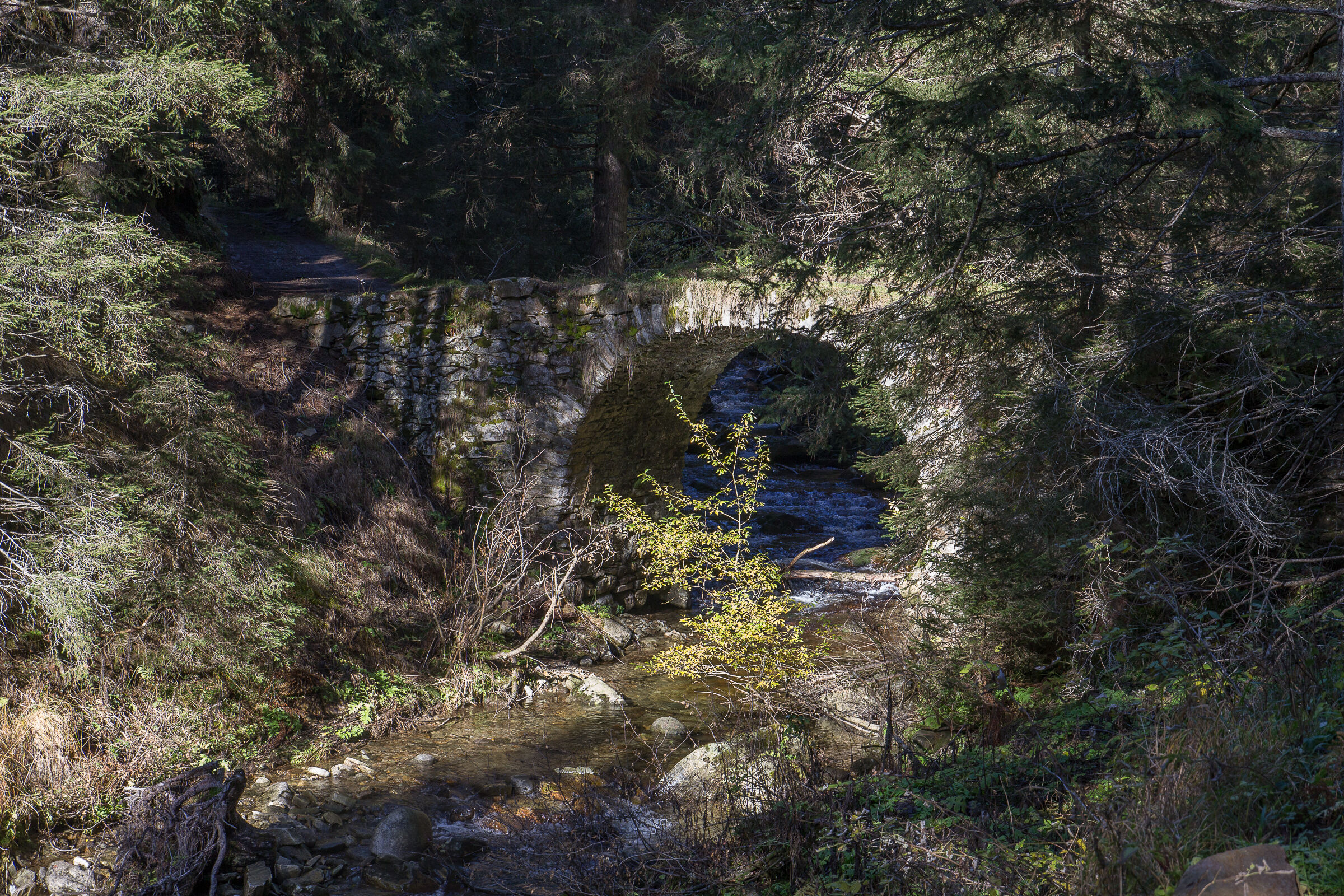 Carolingian Bridge