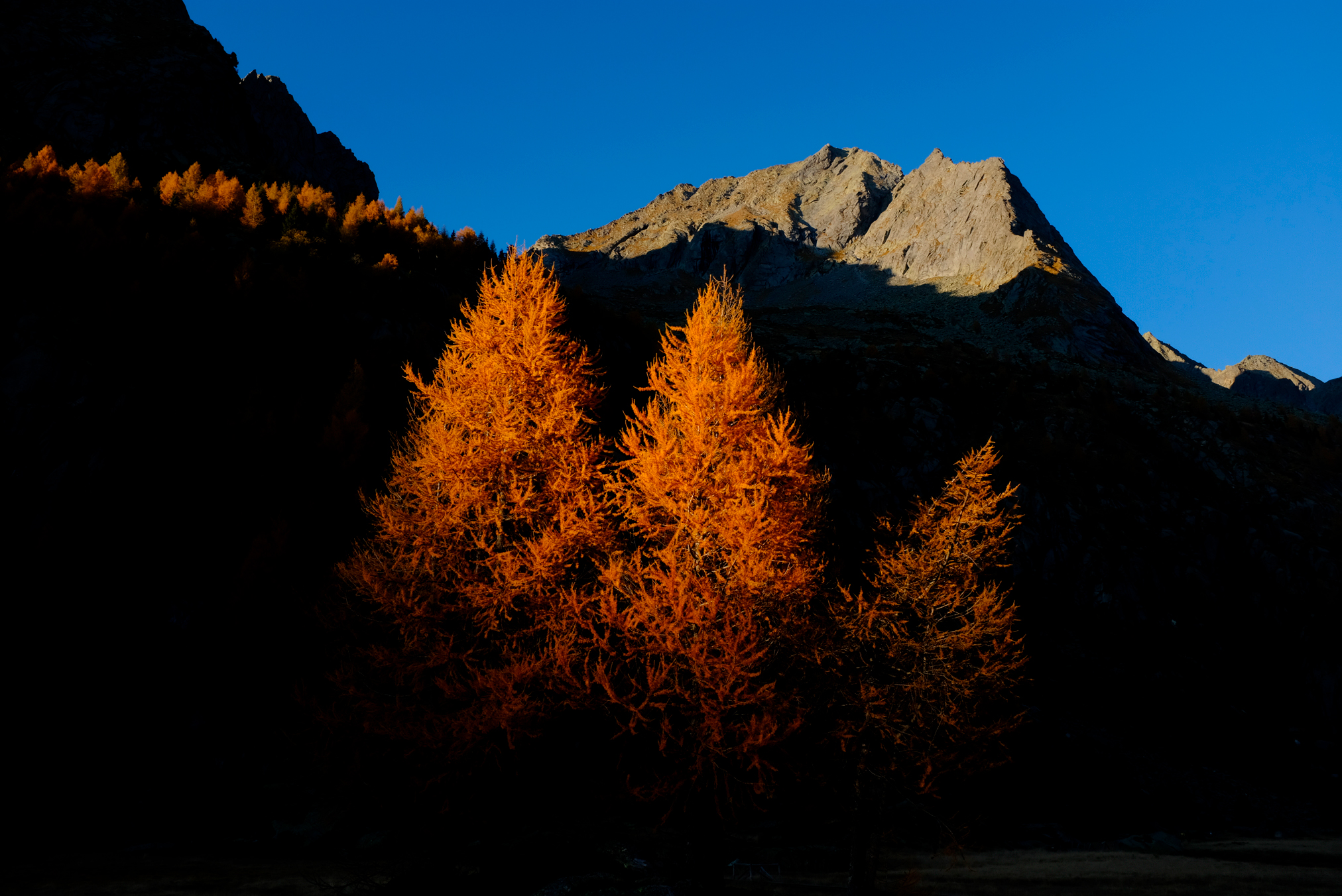 Larici and vicima da Predarossa, Val Masino.