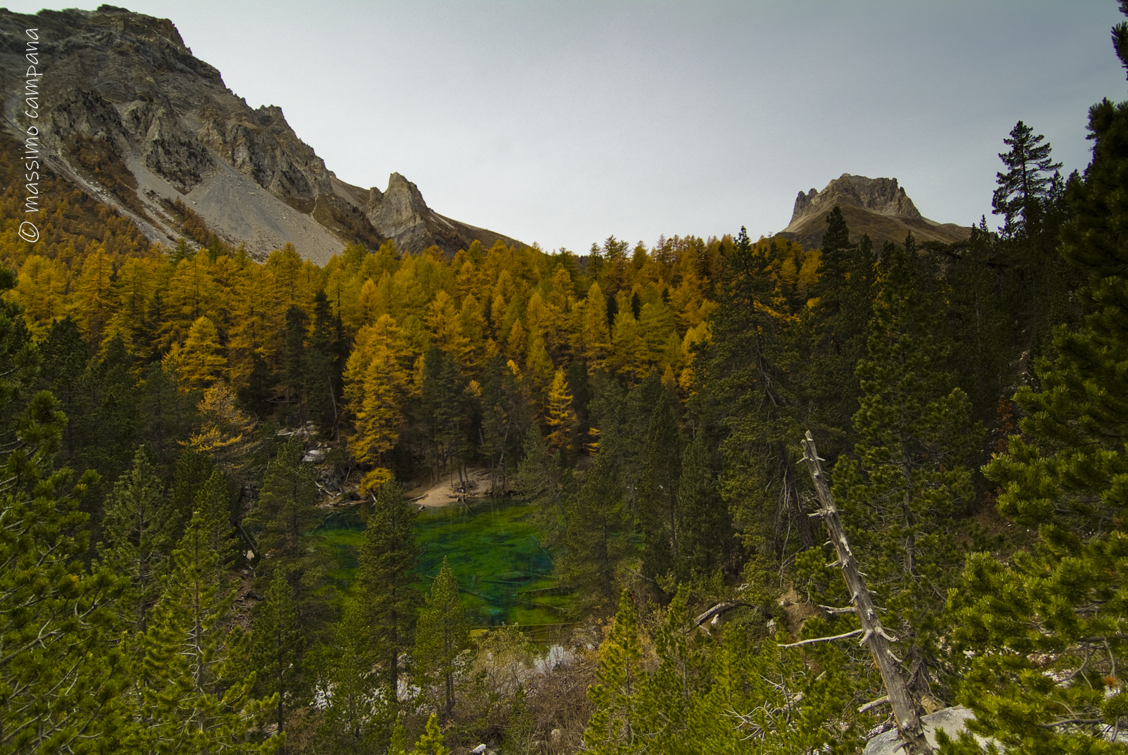 uno smeraldo incastonato tra foglie dorate