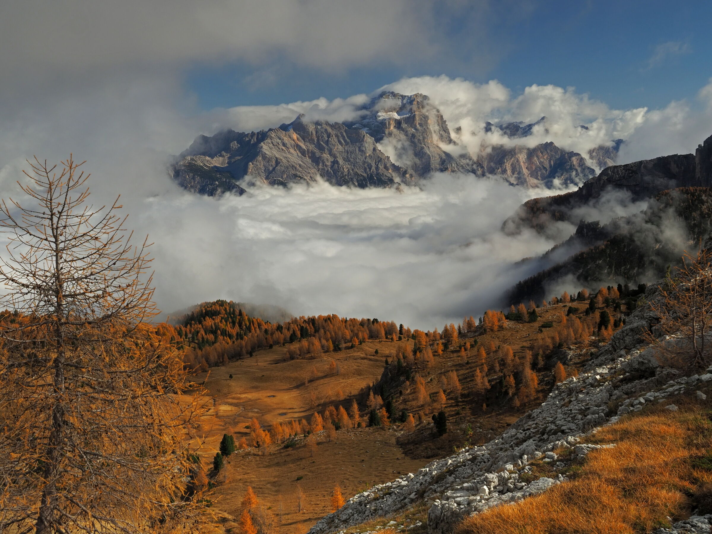 Happiness in a glance