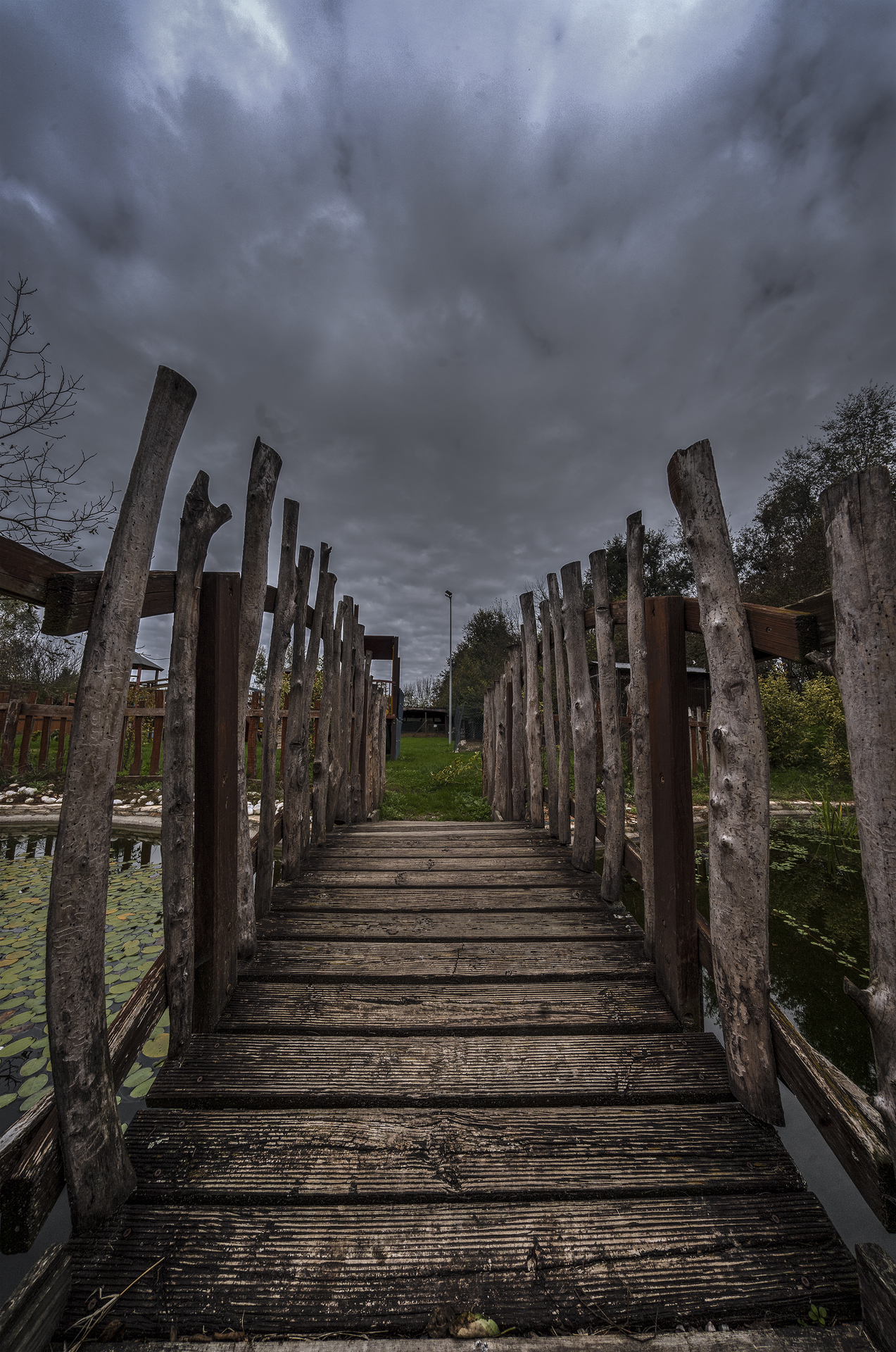bridge over the lake