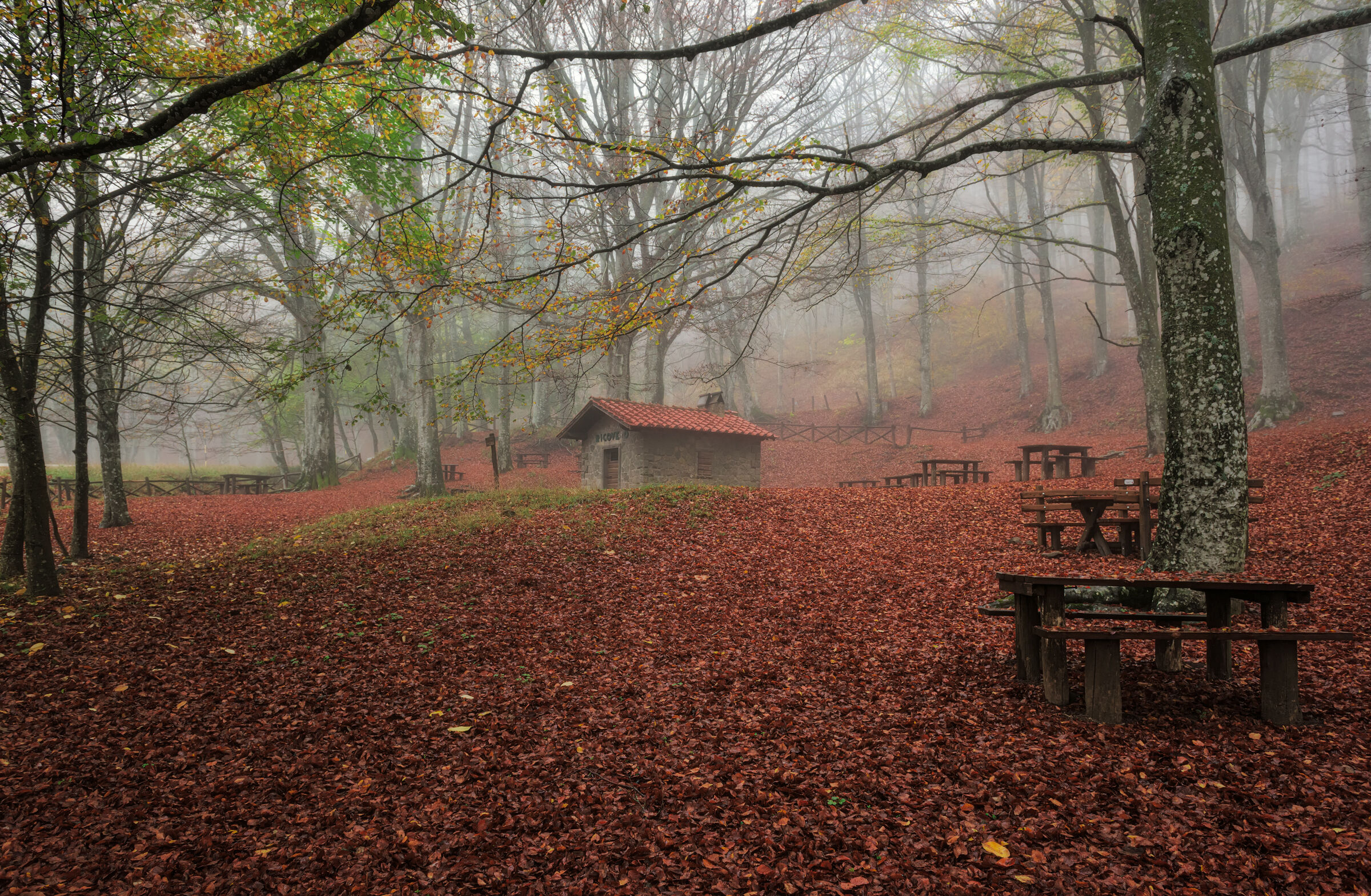 The House in the Woods