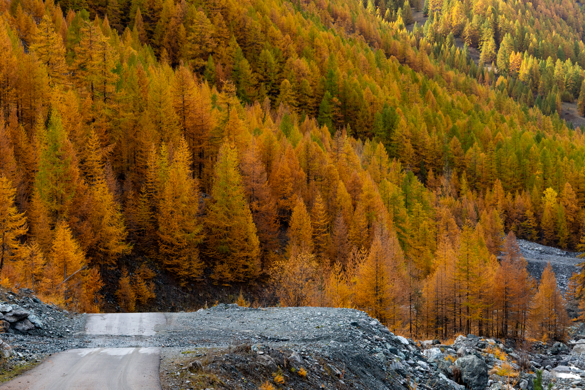 Autunno in valle Argentera