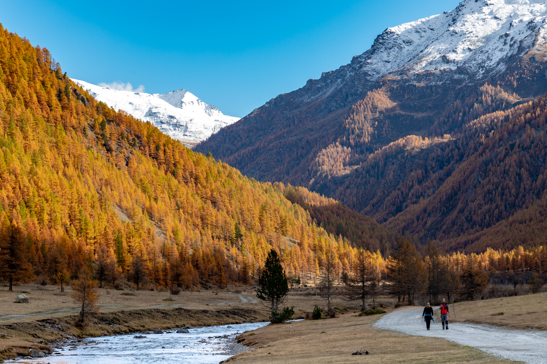 Autunno in valle Argentera