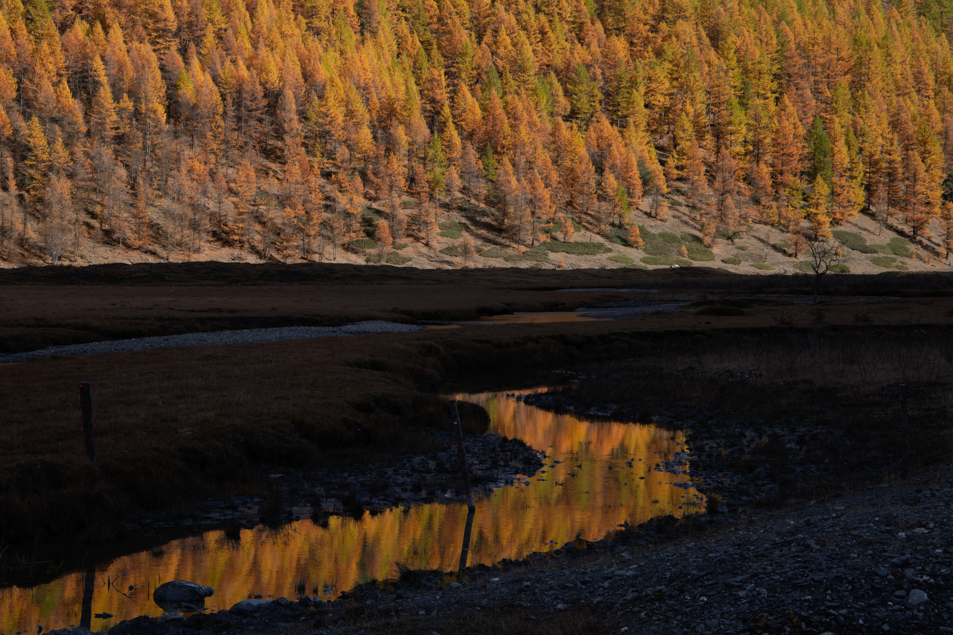 Autunno in valle Argentera - riflessi