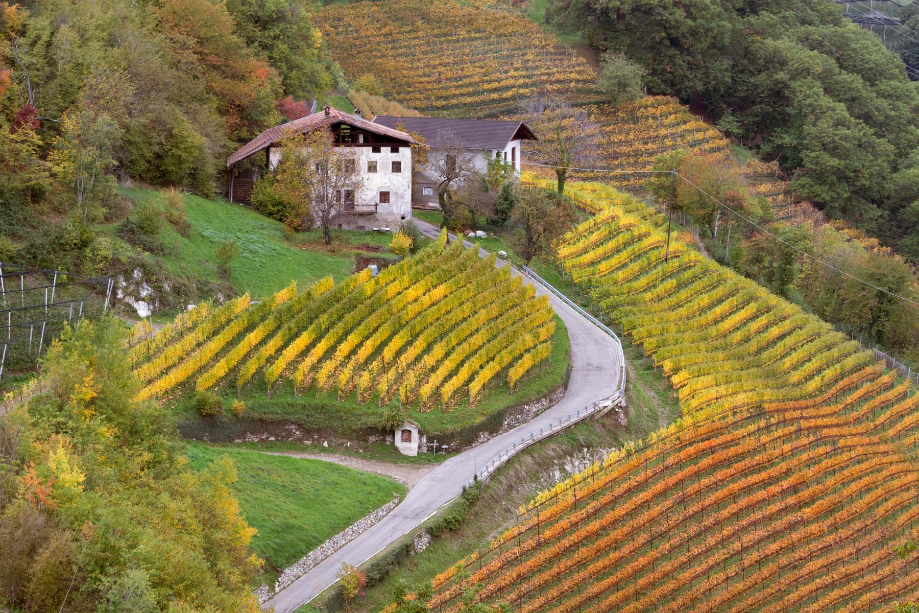 I colori dell'autunno