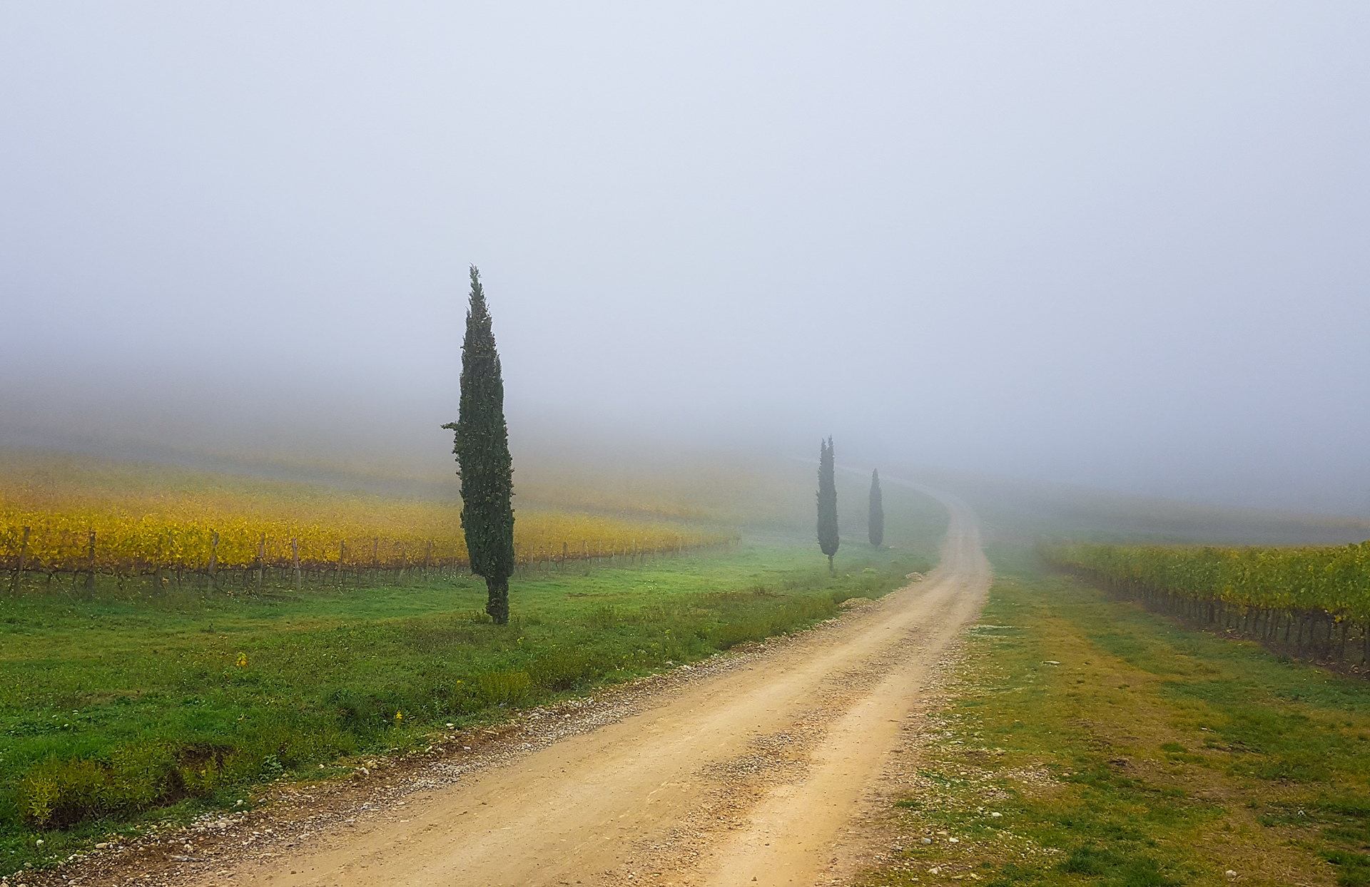 go where it takes you.