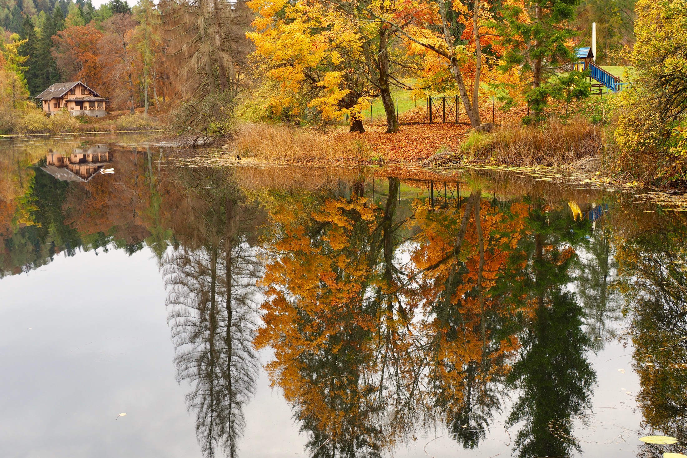 Riflesso condizionato
