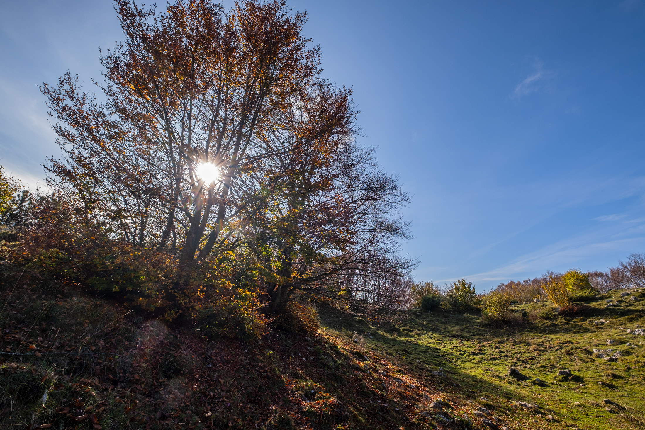 Autunno sul Monte Baldo