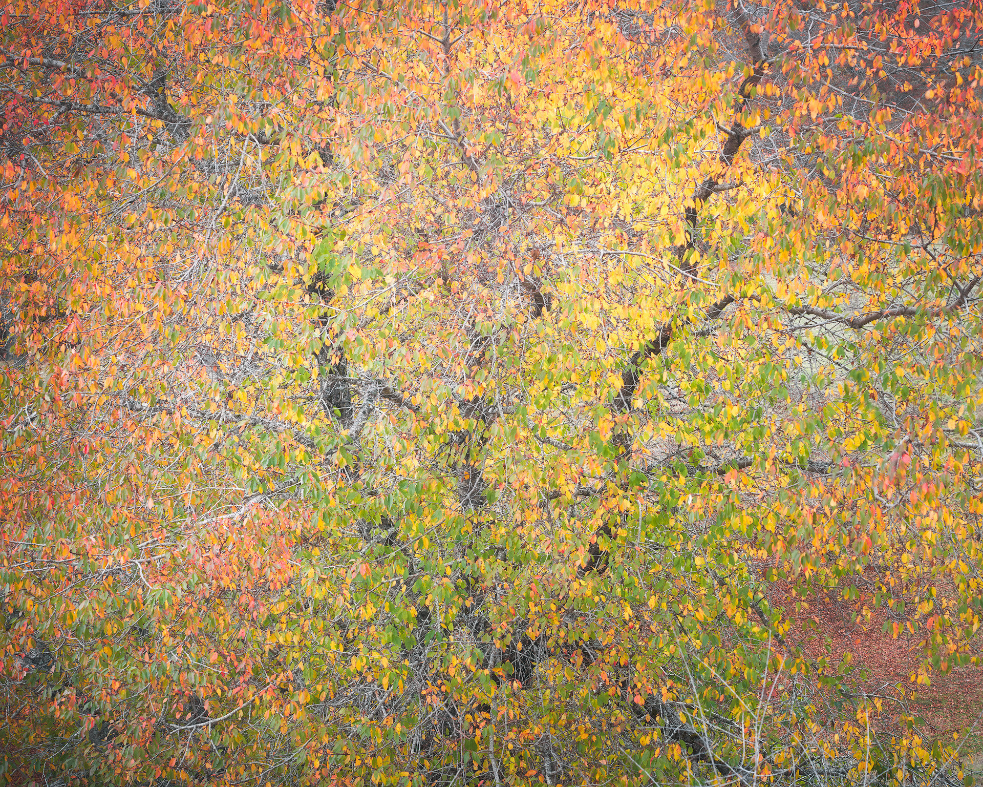 Silence and harmonious