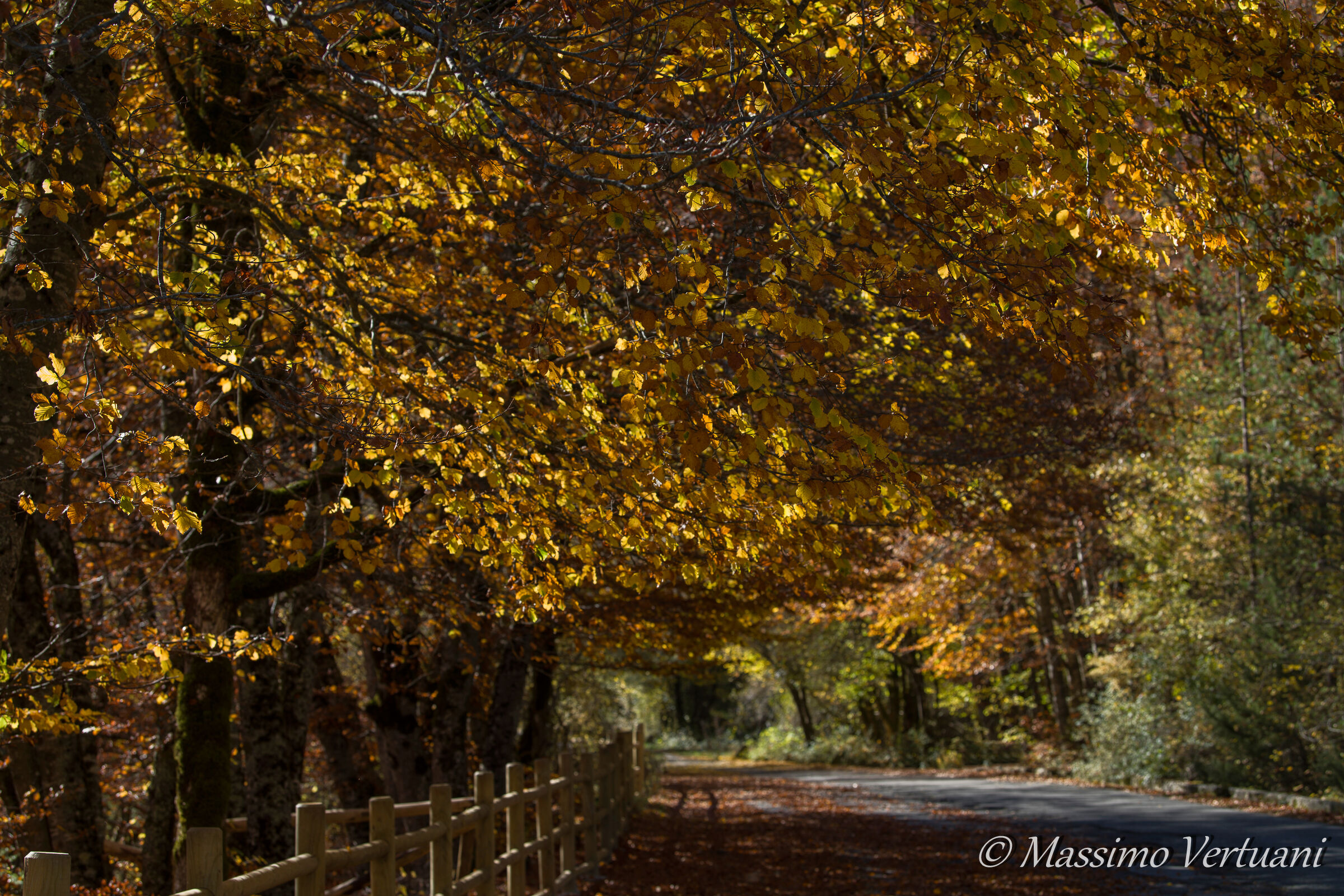 Parco Nazionale d'Abruzzo