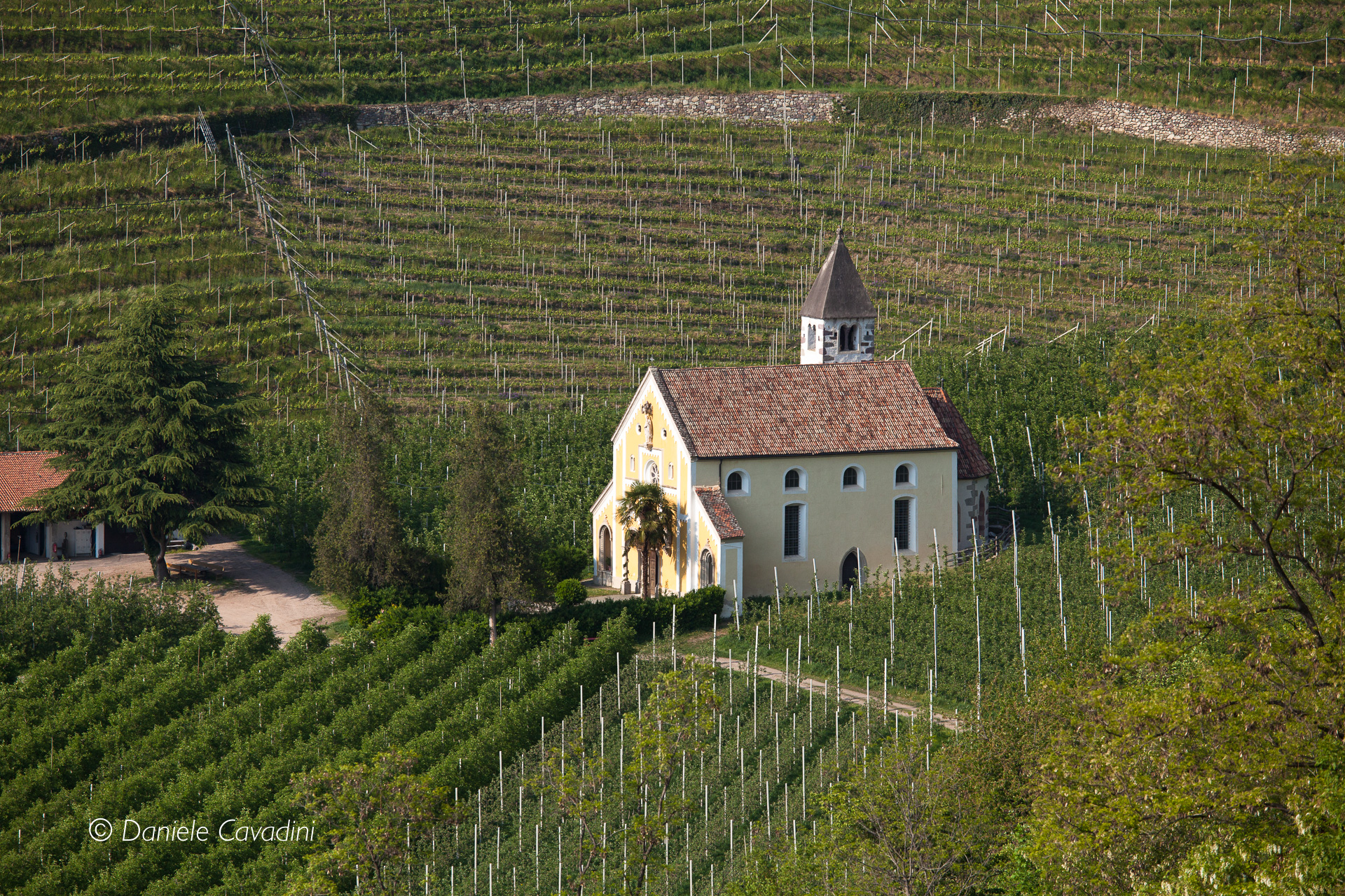 Church in the vineyard