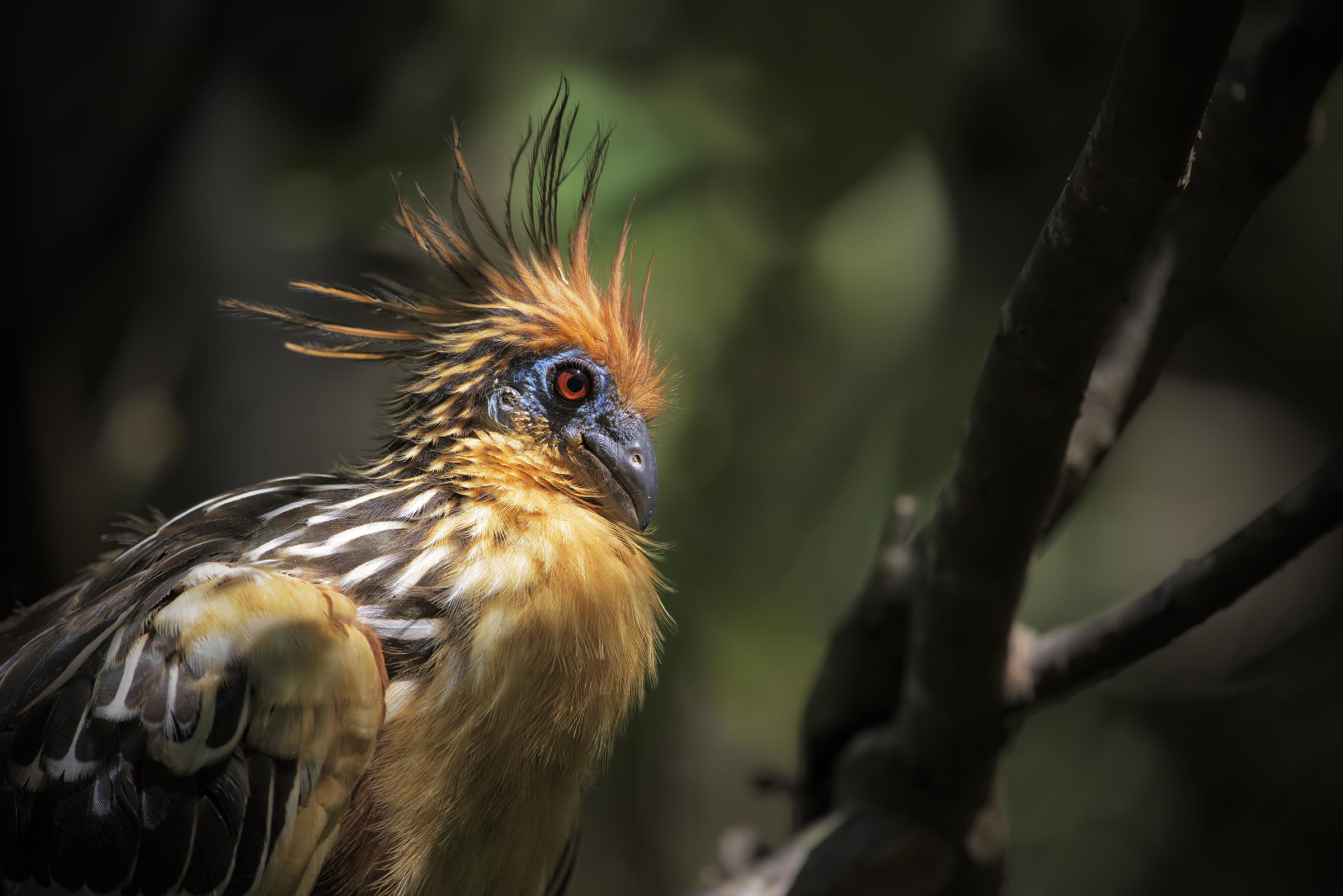 Return to Prehistory