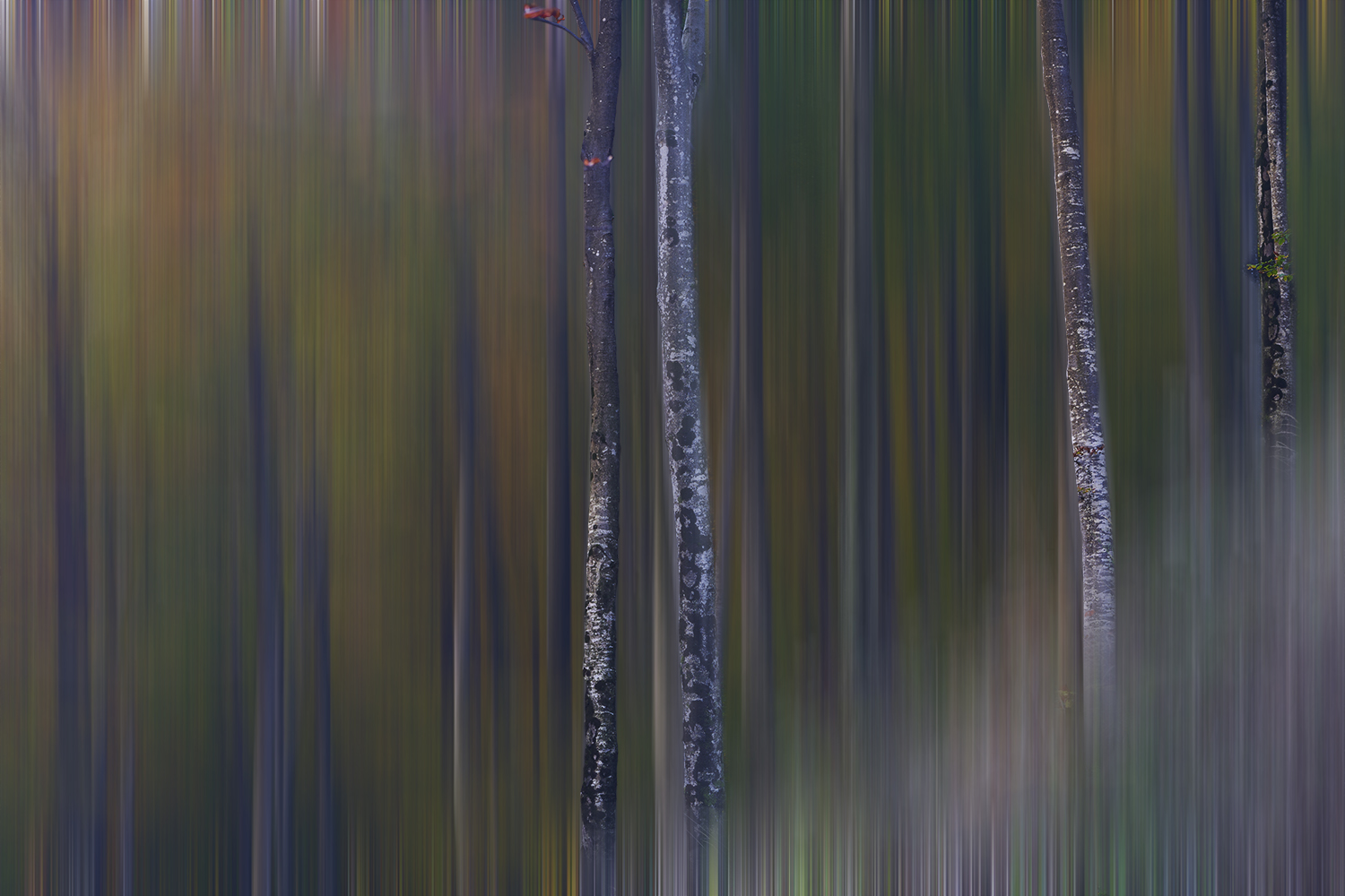 Autunno movimentato
