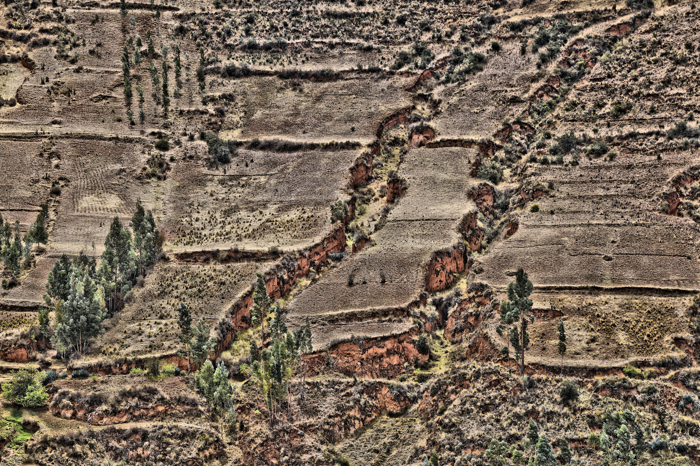 Untitled Photo