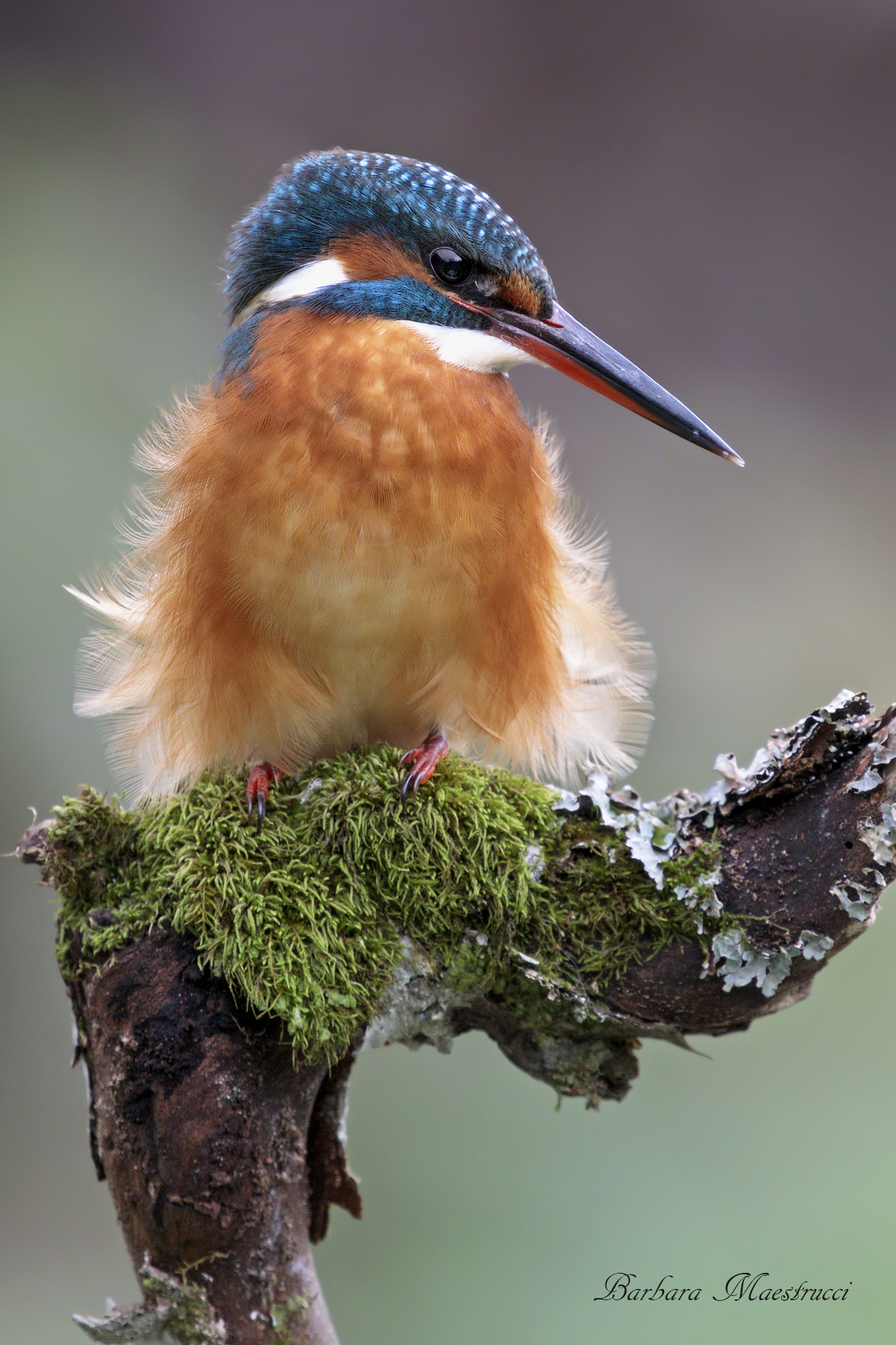 E poi si alza il vento....
