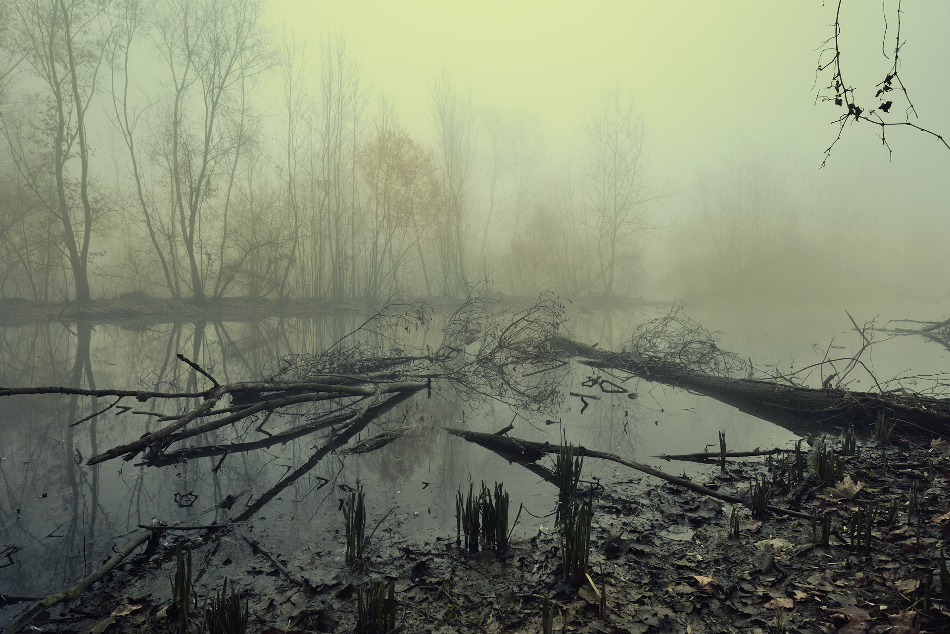 L'Adda morta a Cavenago d'Adda