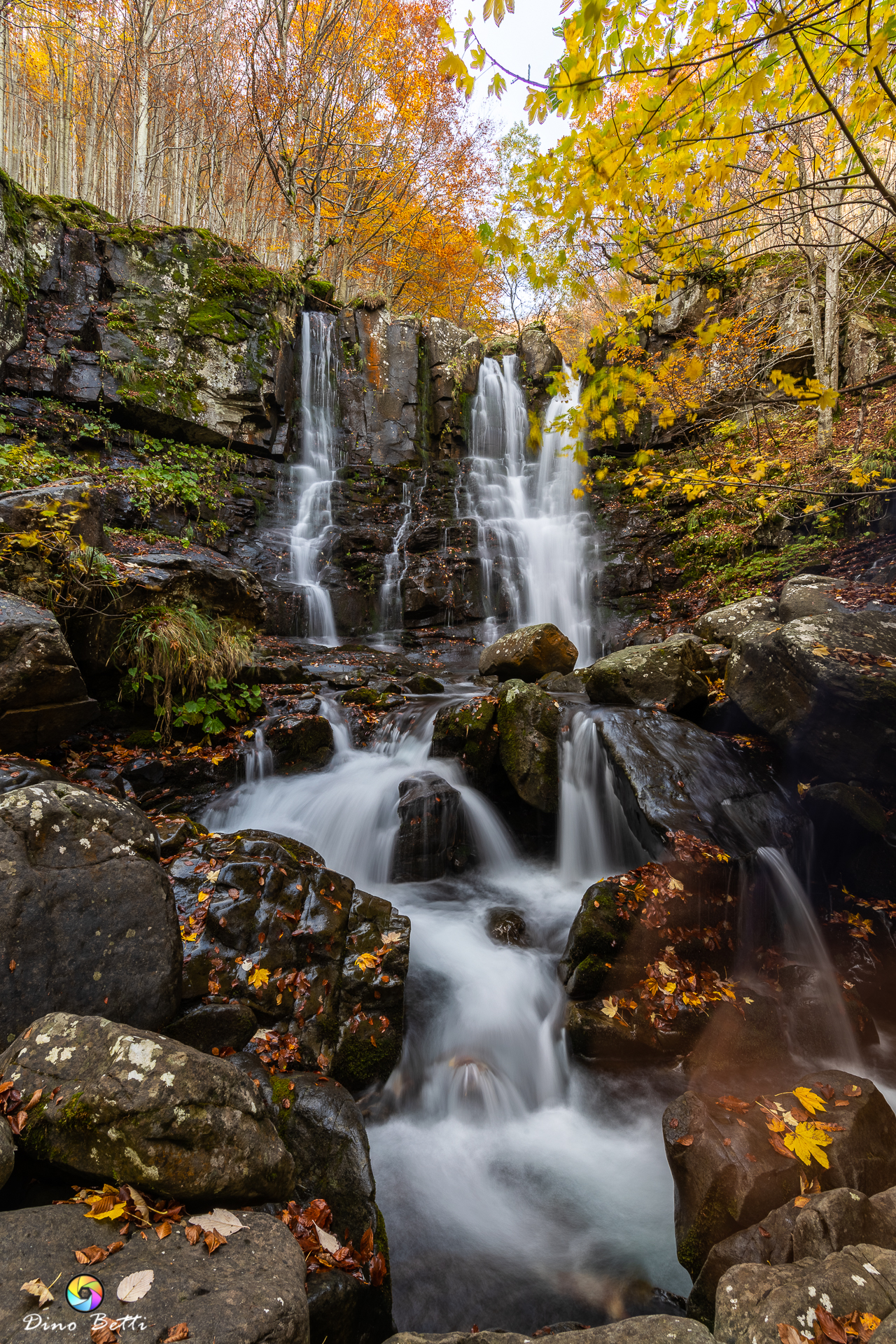 Le Cascate del Dardagna n.2