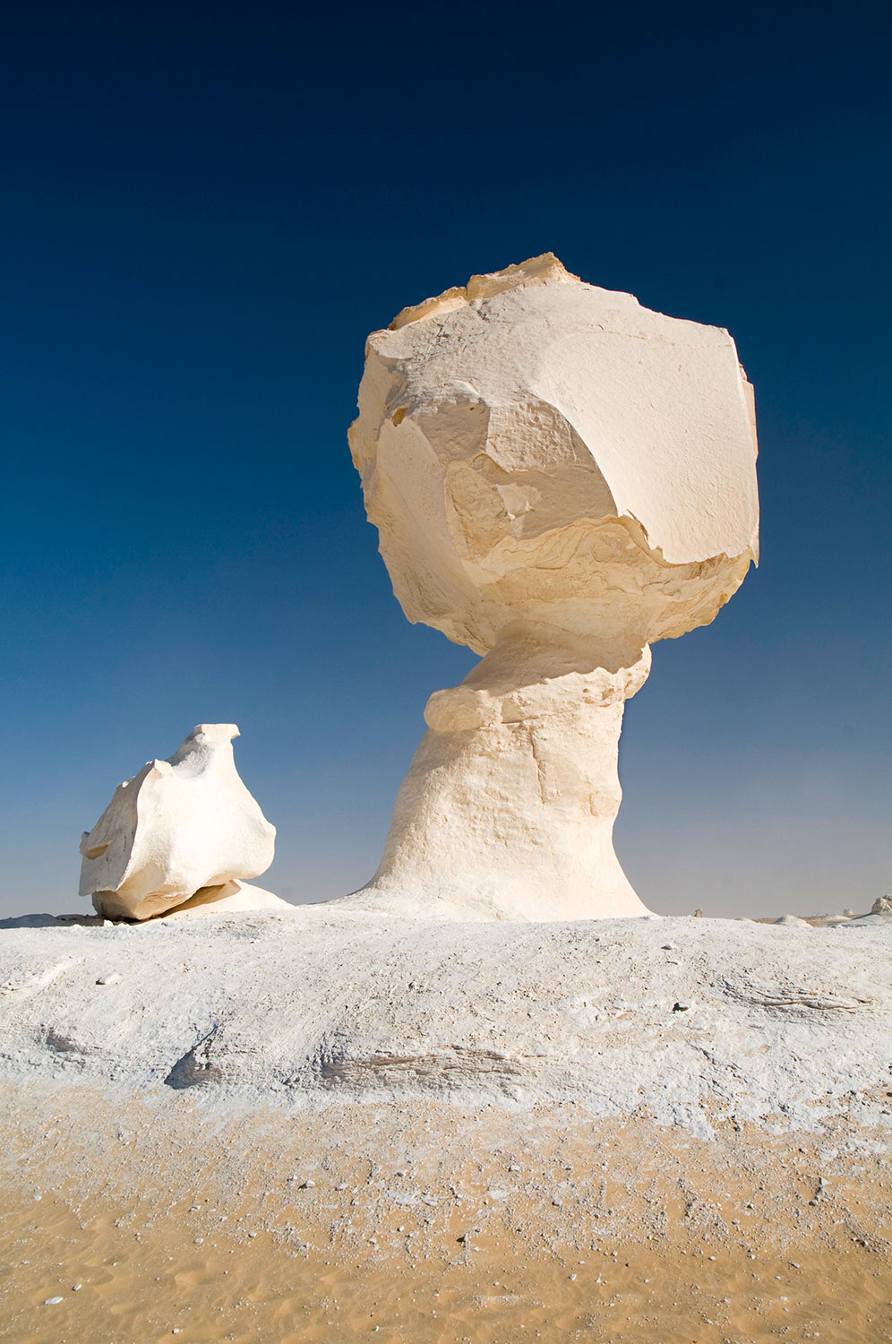 L'albero e la Gallina - deserto bianco