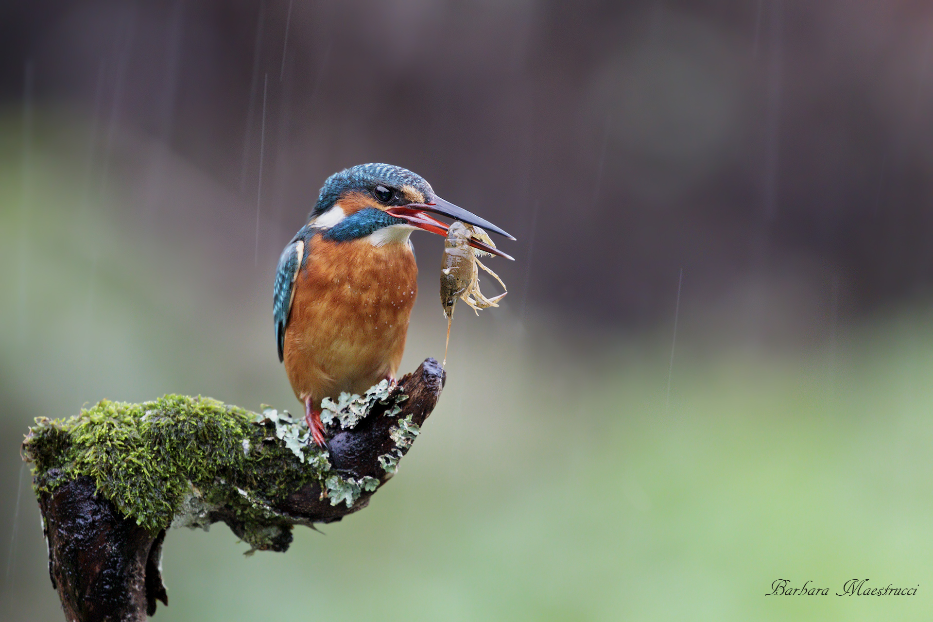 E poi il temporale...