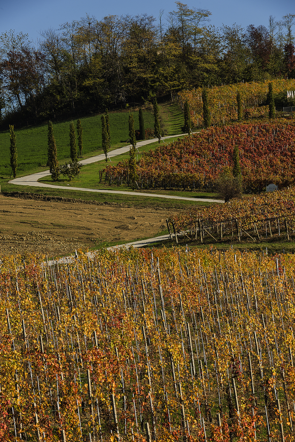 LANGHE 2019