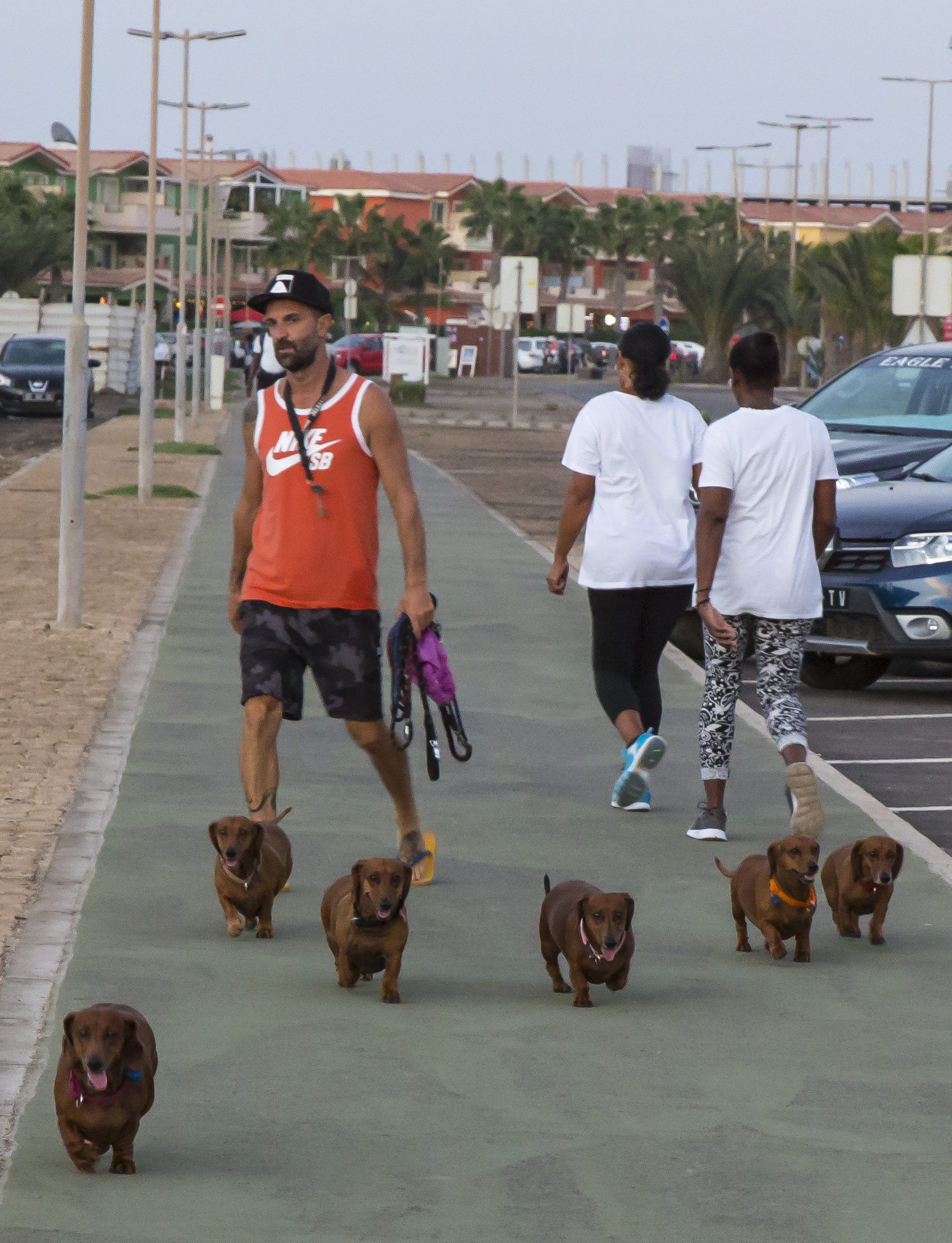 Amici di strada. Santa Maria Capo Verde