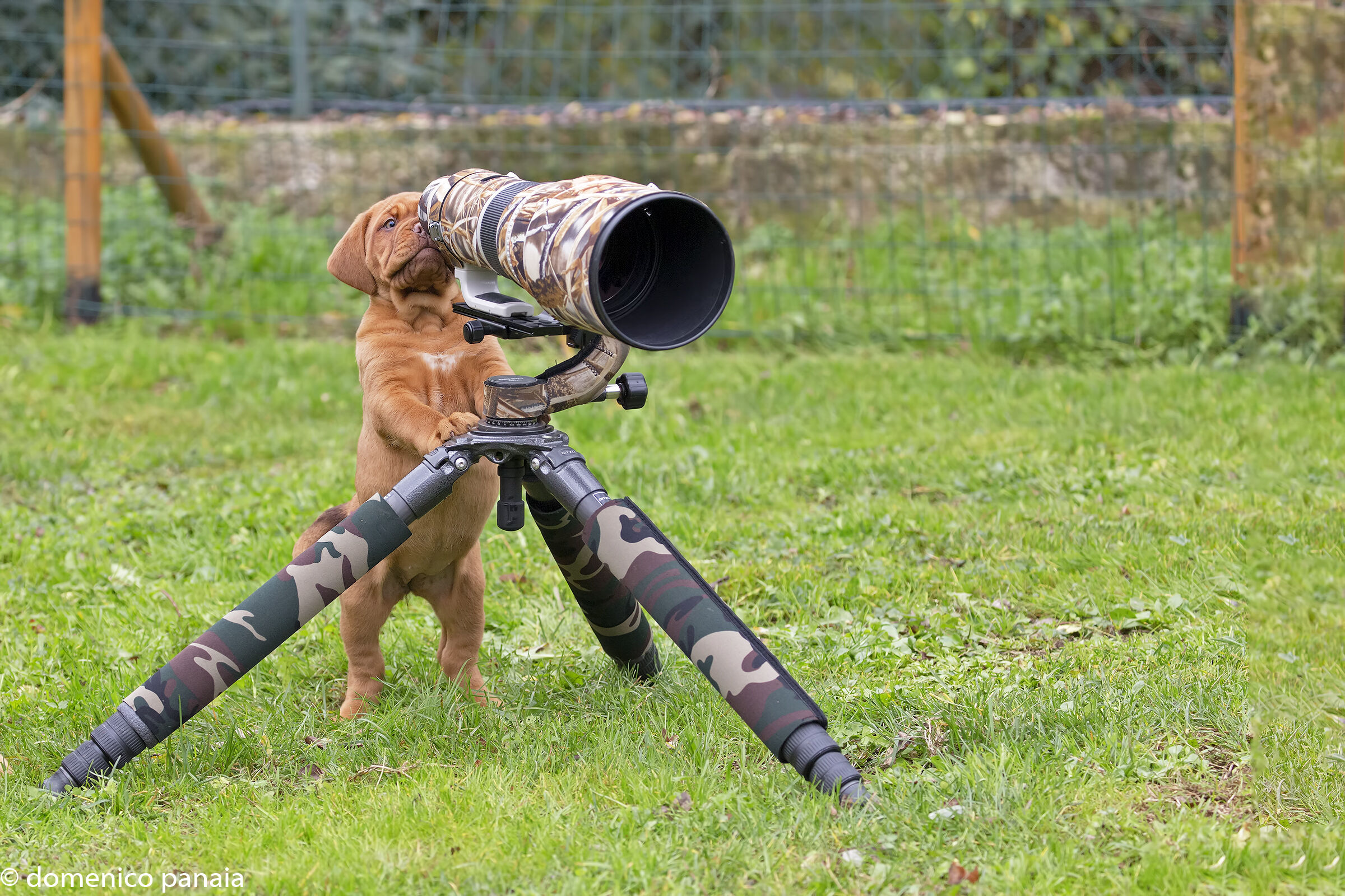 spostati...ci penso io..