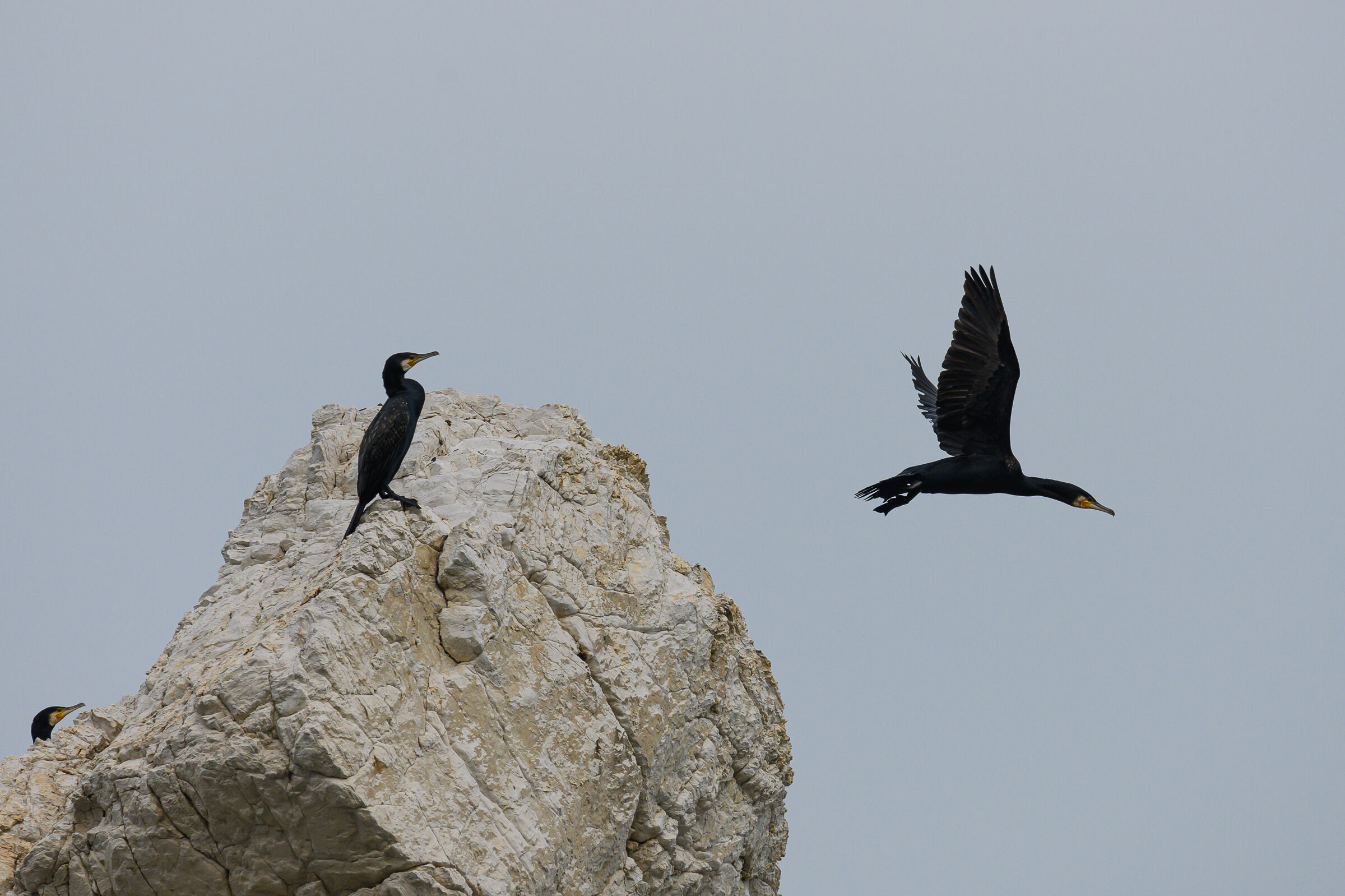 Ops!!!! it's my turn