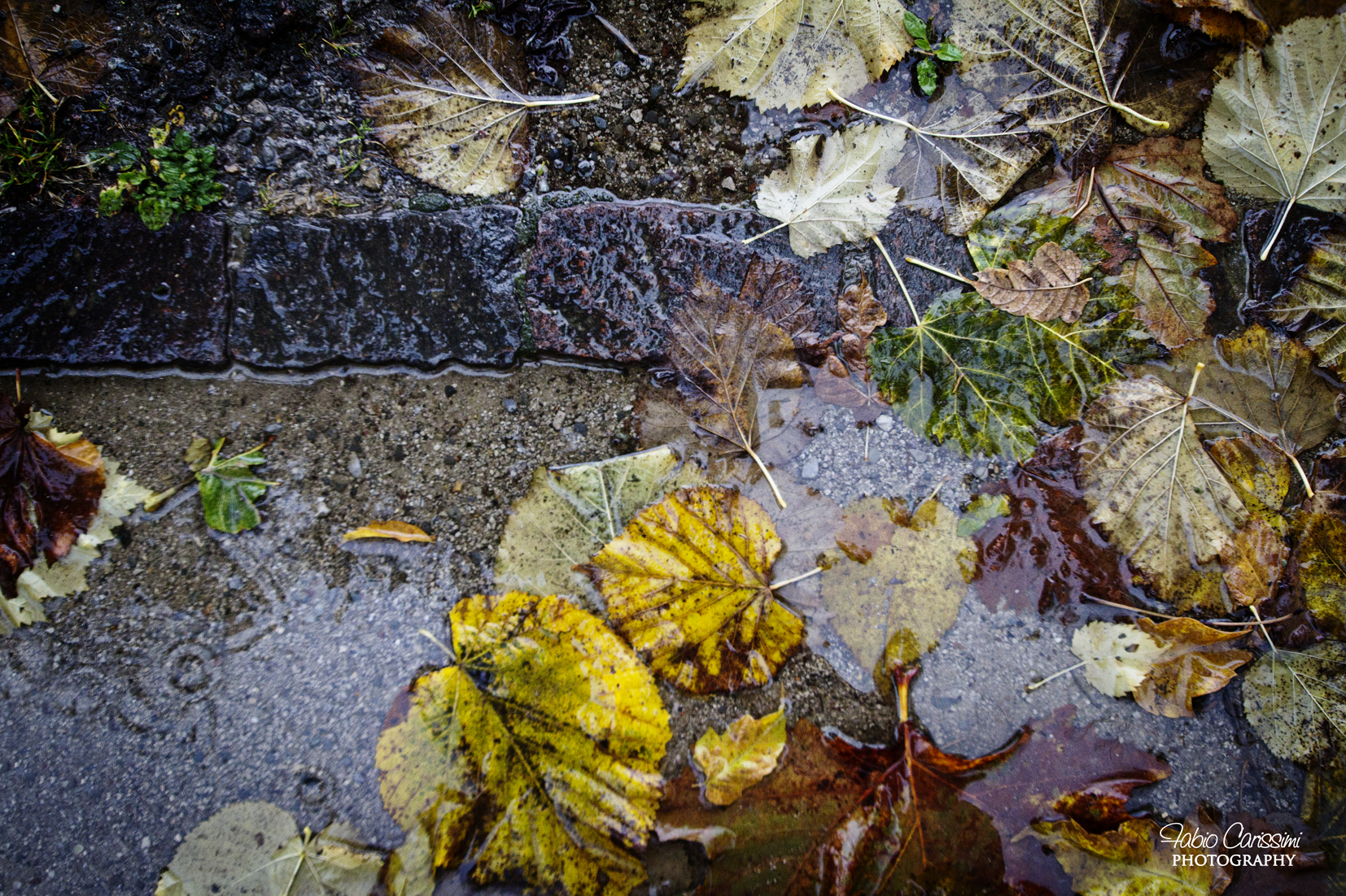Il Colore Della Pioggia
