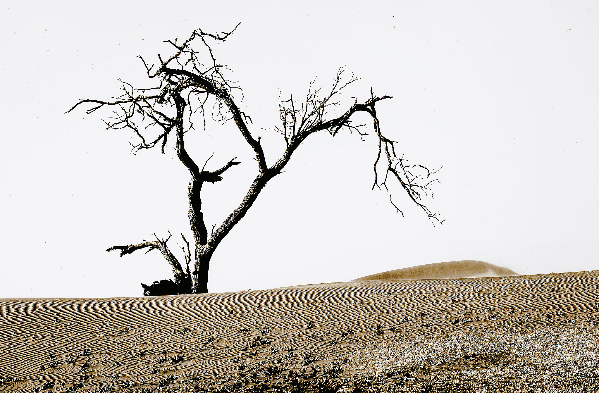 L'indistruttibile...