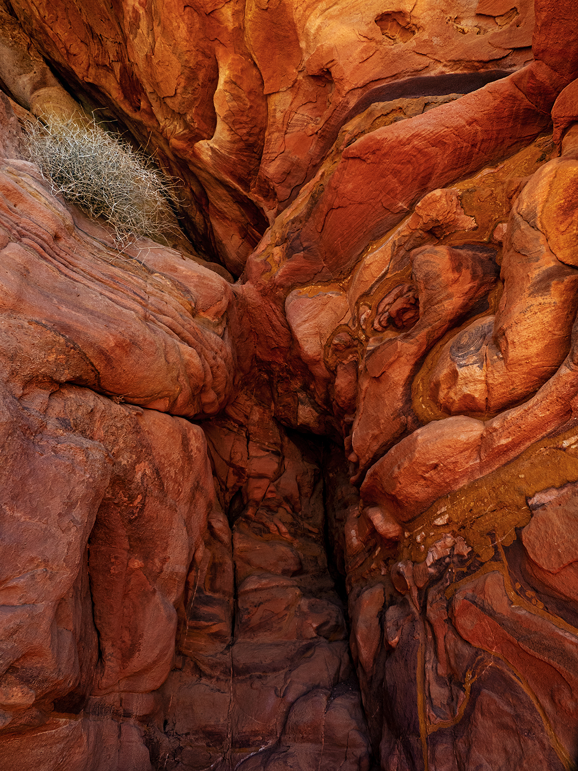 Cromie di Giordania - Riserva della biosfera di Dana