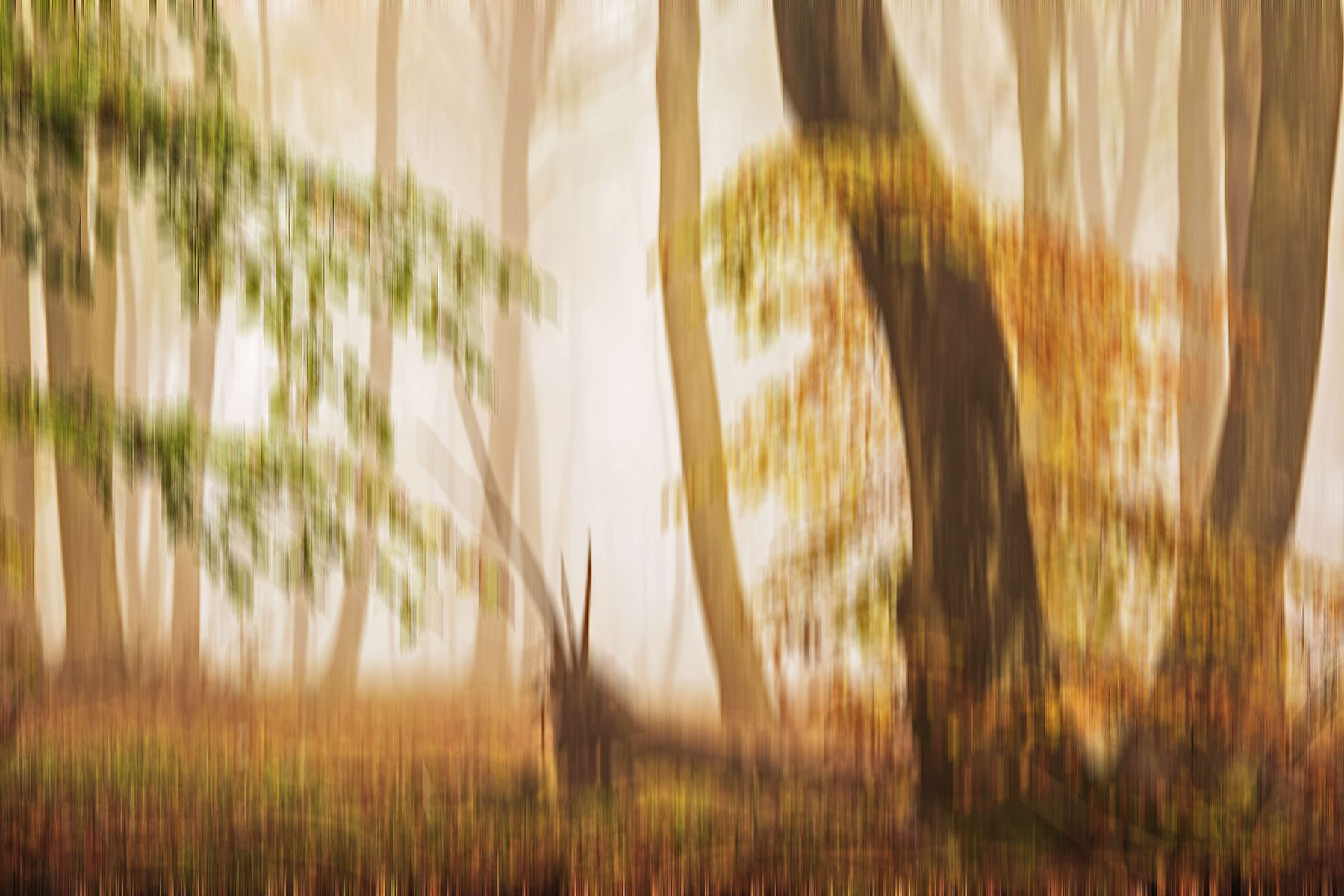 impressioni di novembre