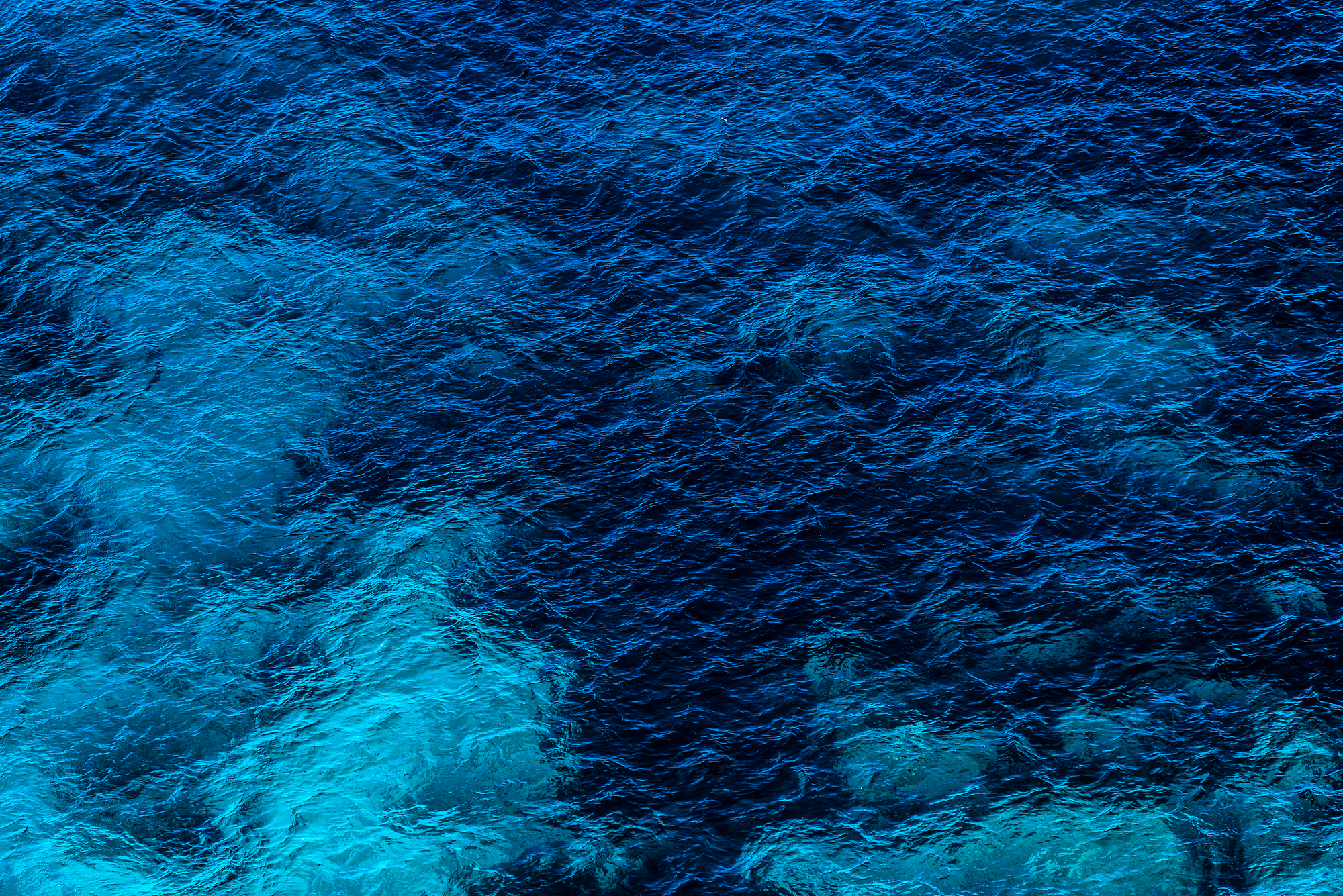 Dive in