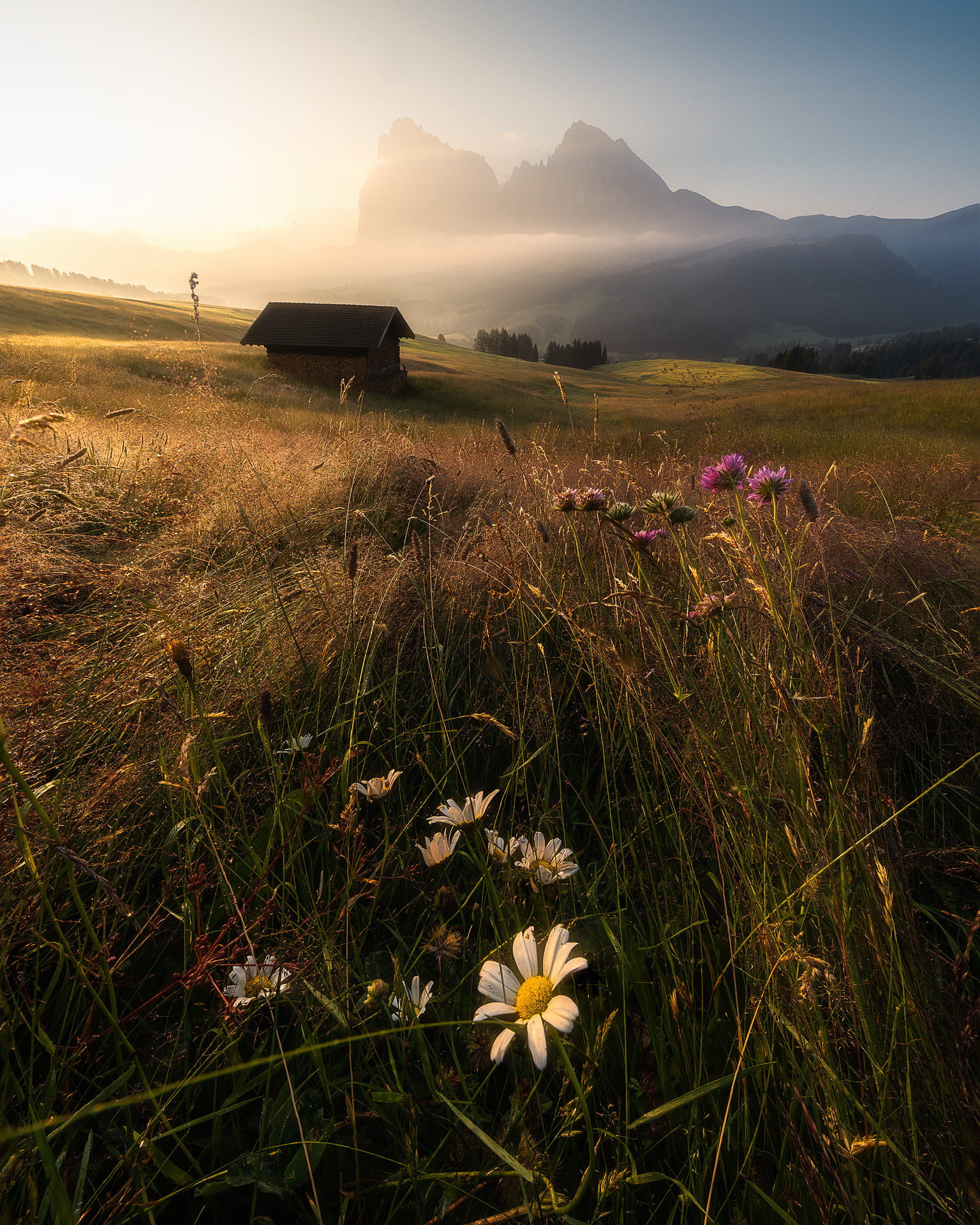 Foggy Morning, (D-S]