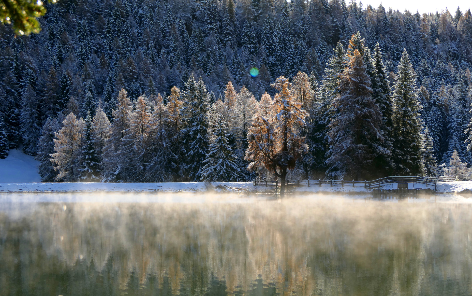 Riflessi