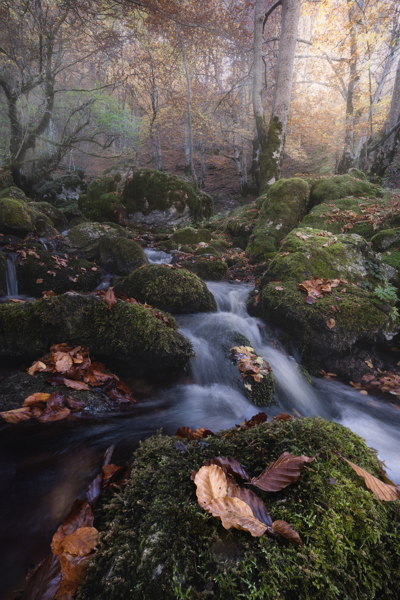Flowing through colors