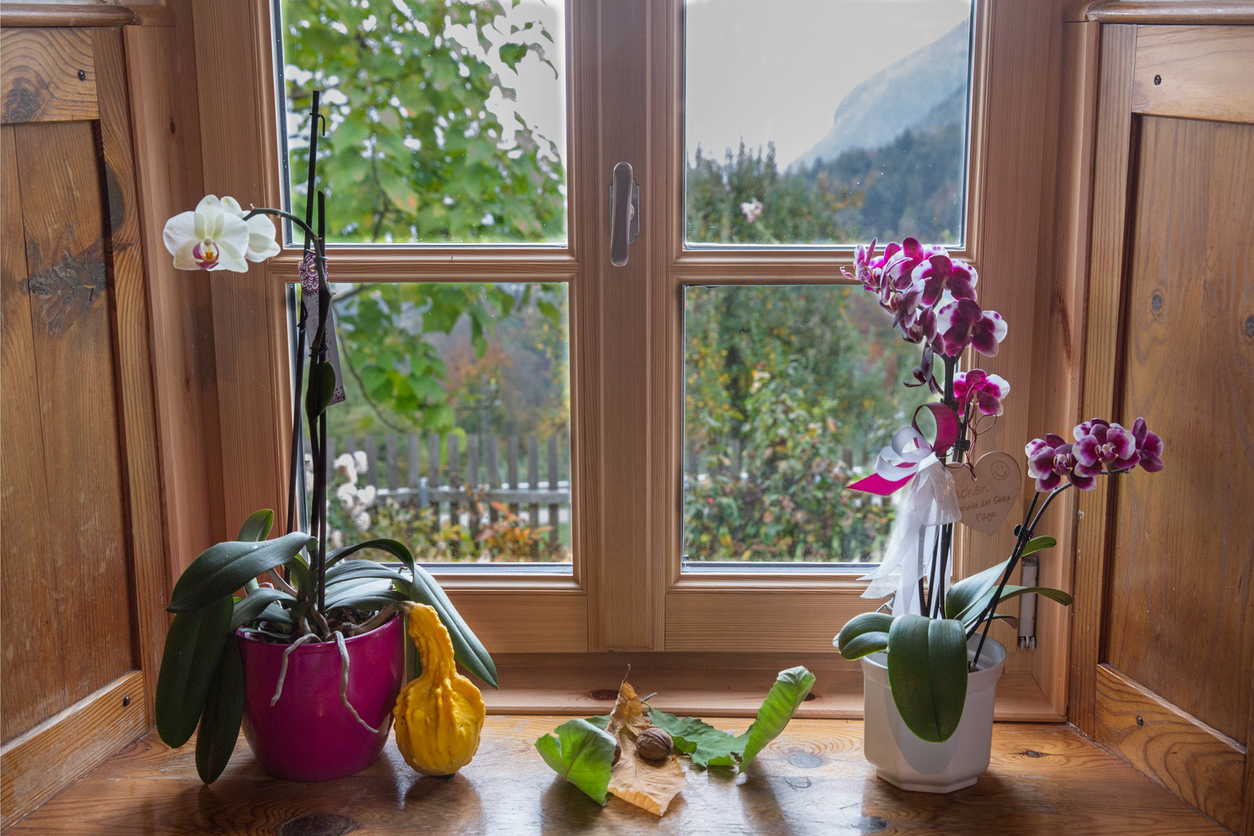 La finestra sull'autrunno