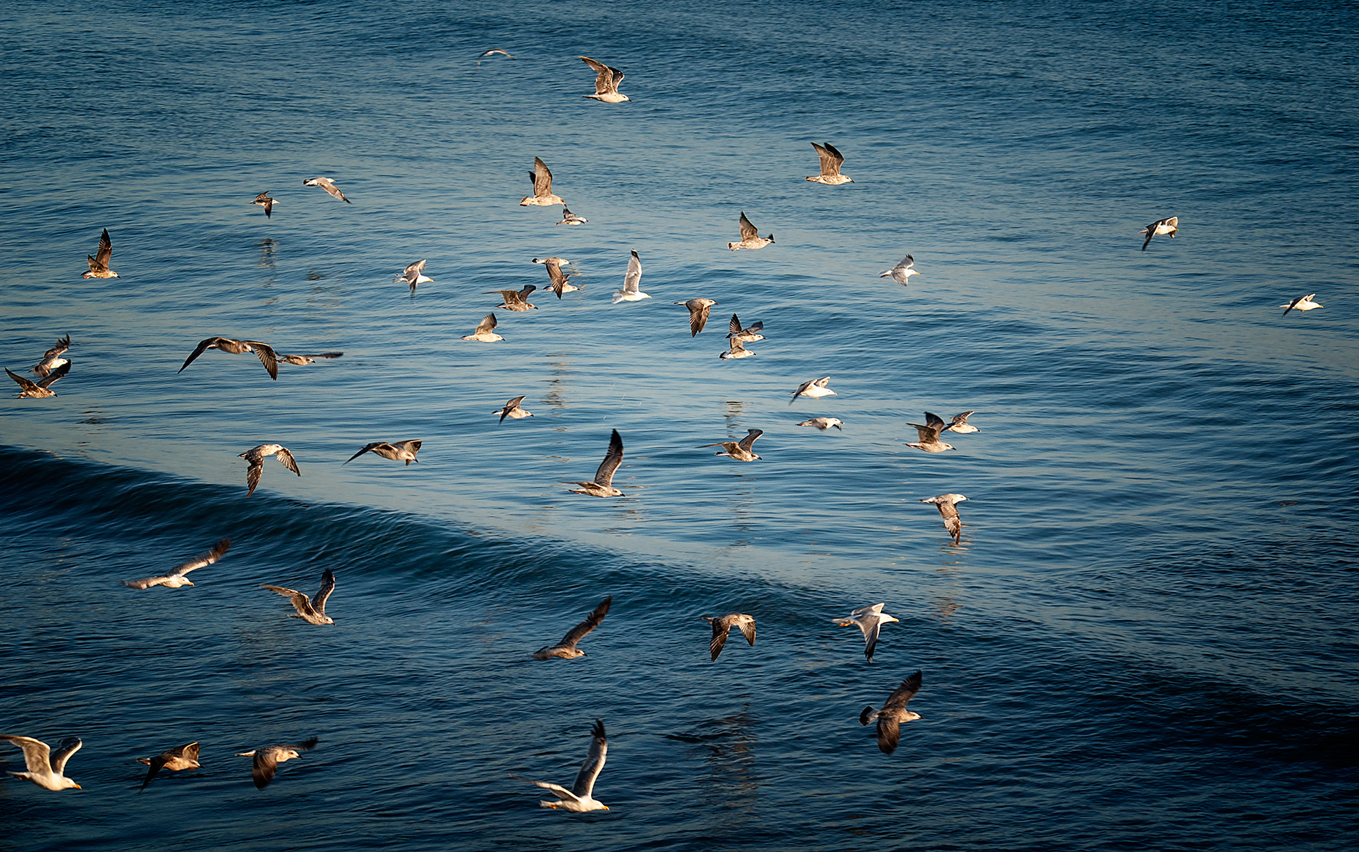 The flight.............