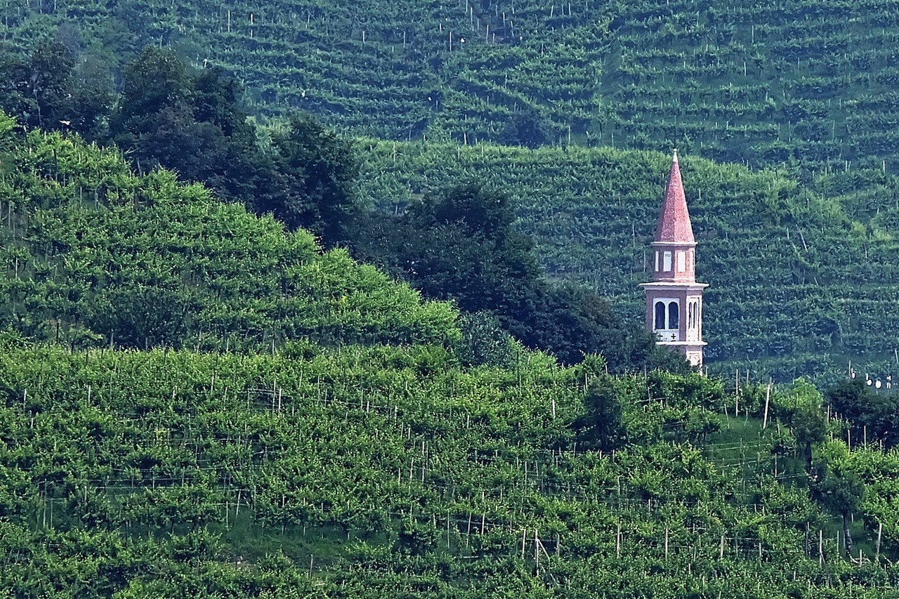 Le colline del Prosecco