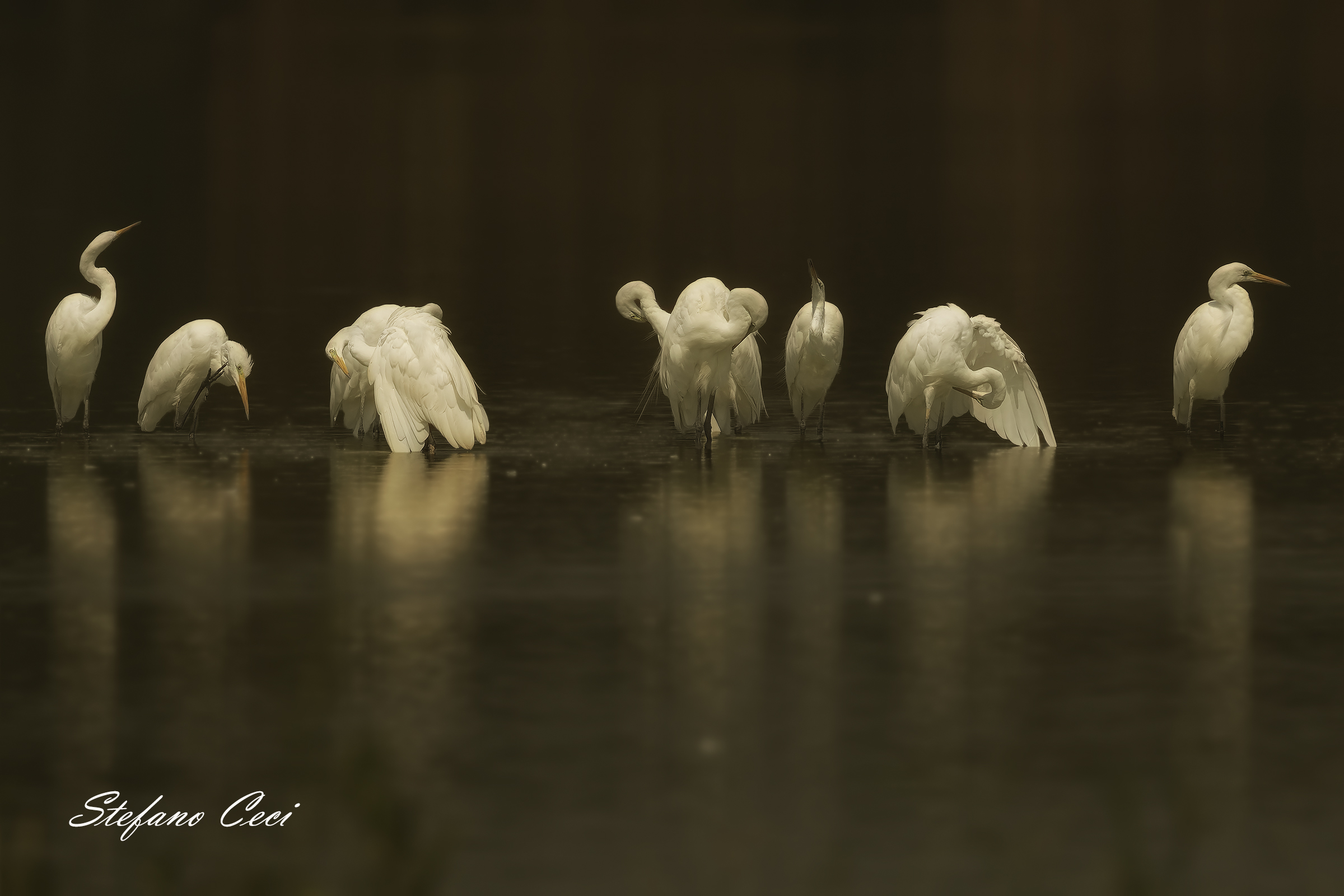 a moment of relaxation