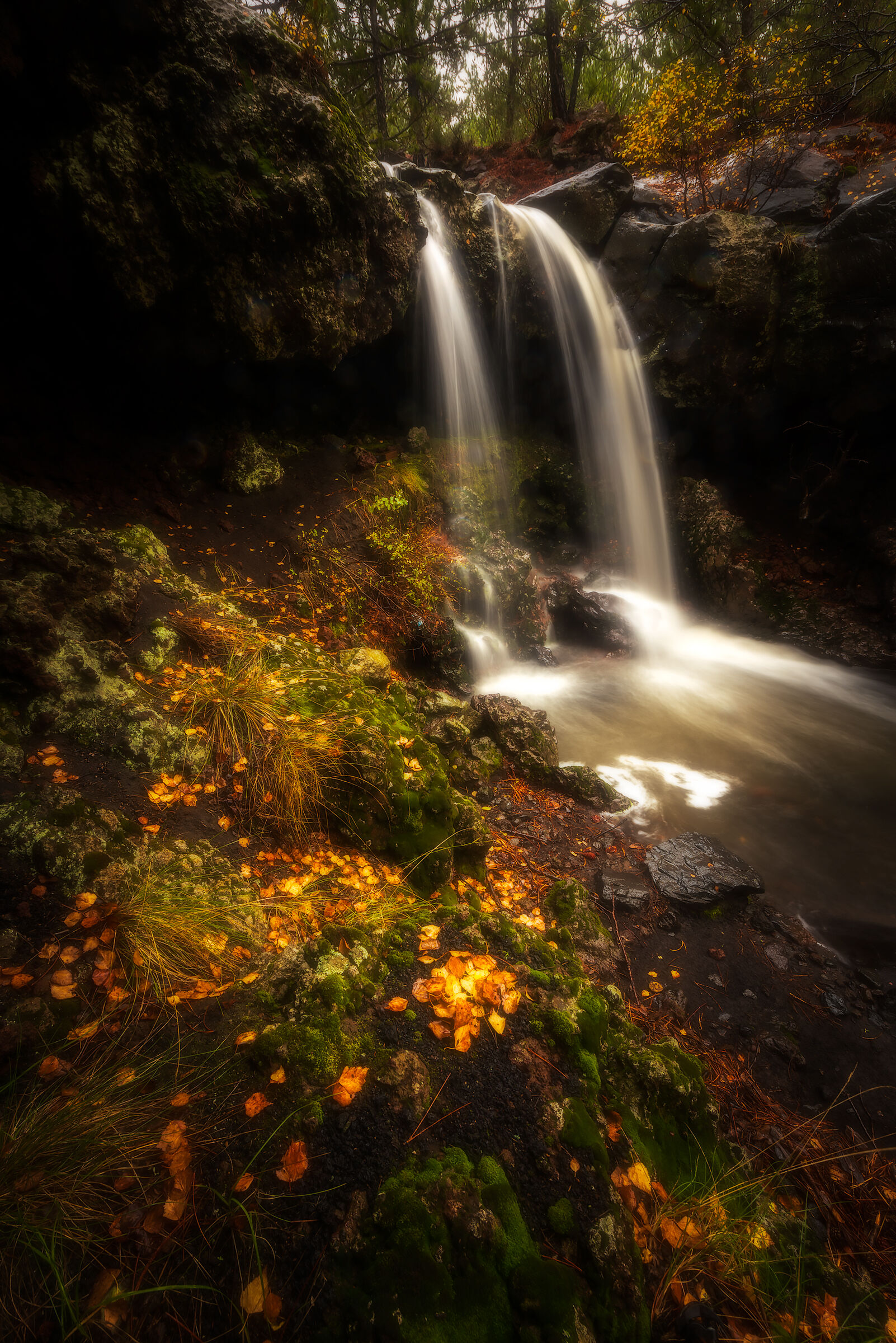 Tra gnomi e folletti