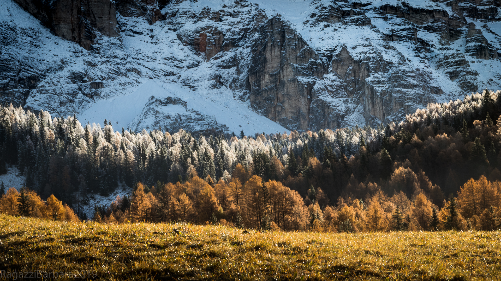 L'autunno verso l'inverno