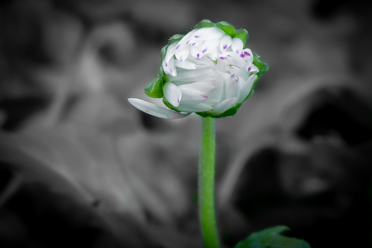 Untitled Photo